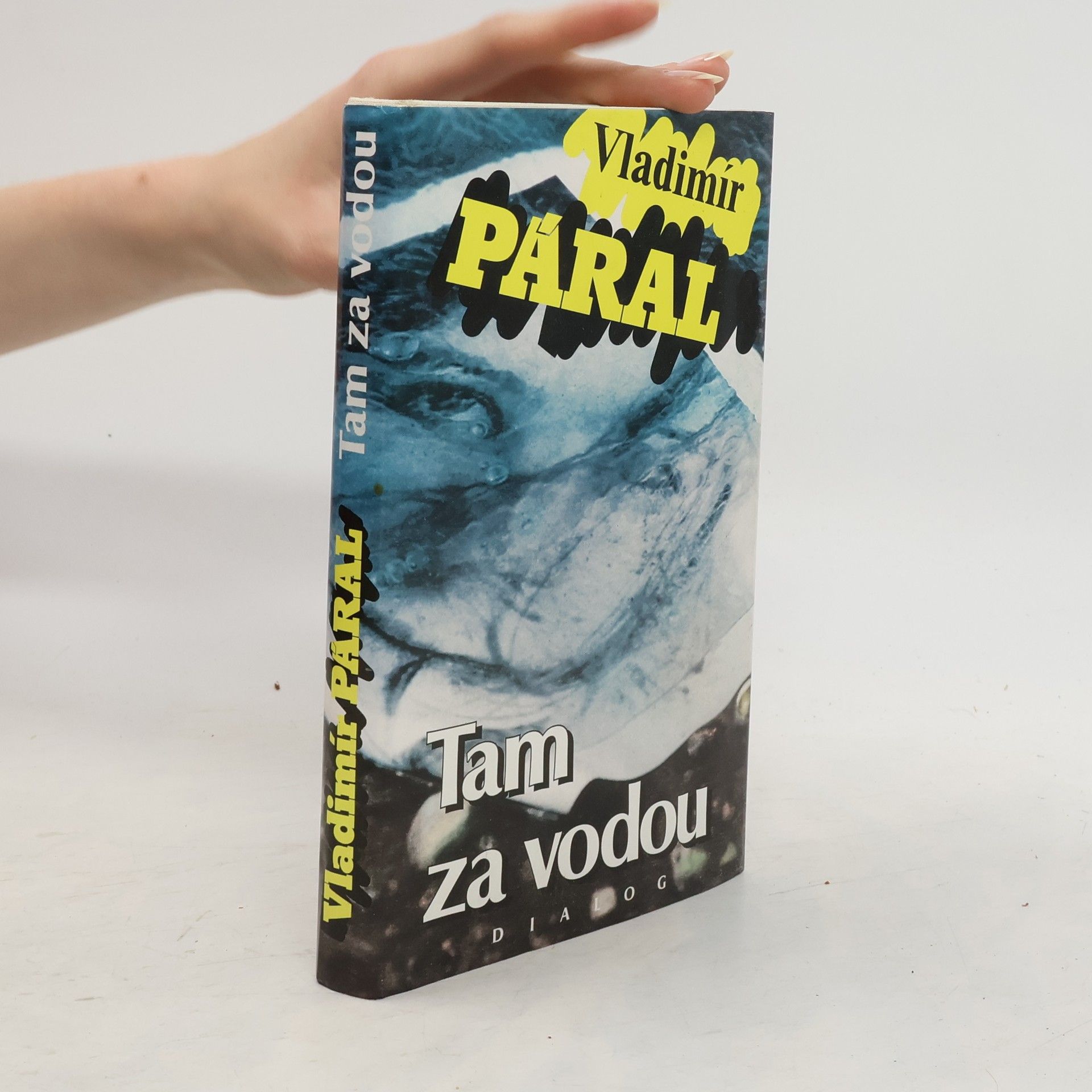 Vladimír Páral Tam za vodou