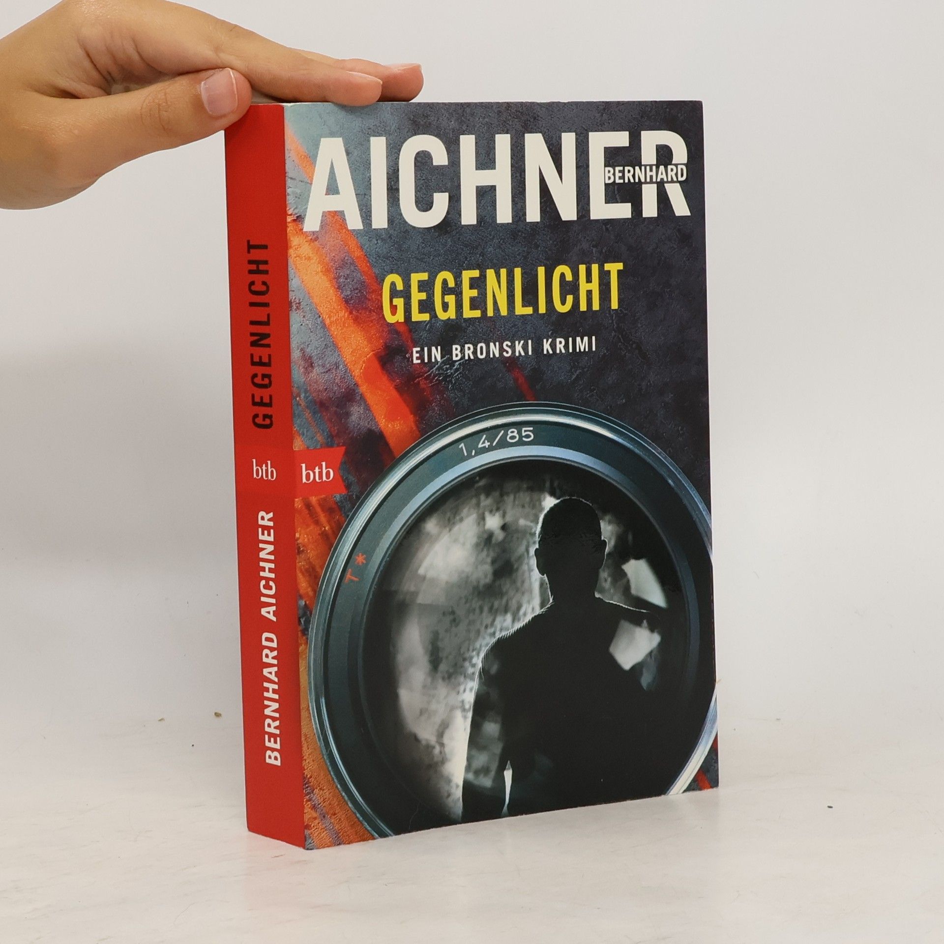 Bernhard Aichner Gegenlicht
