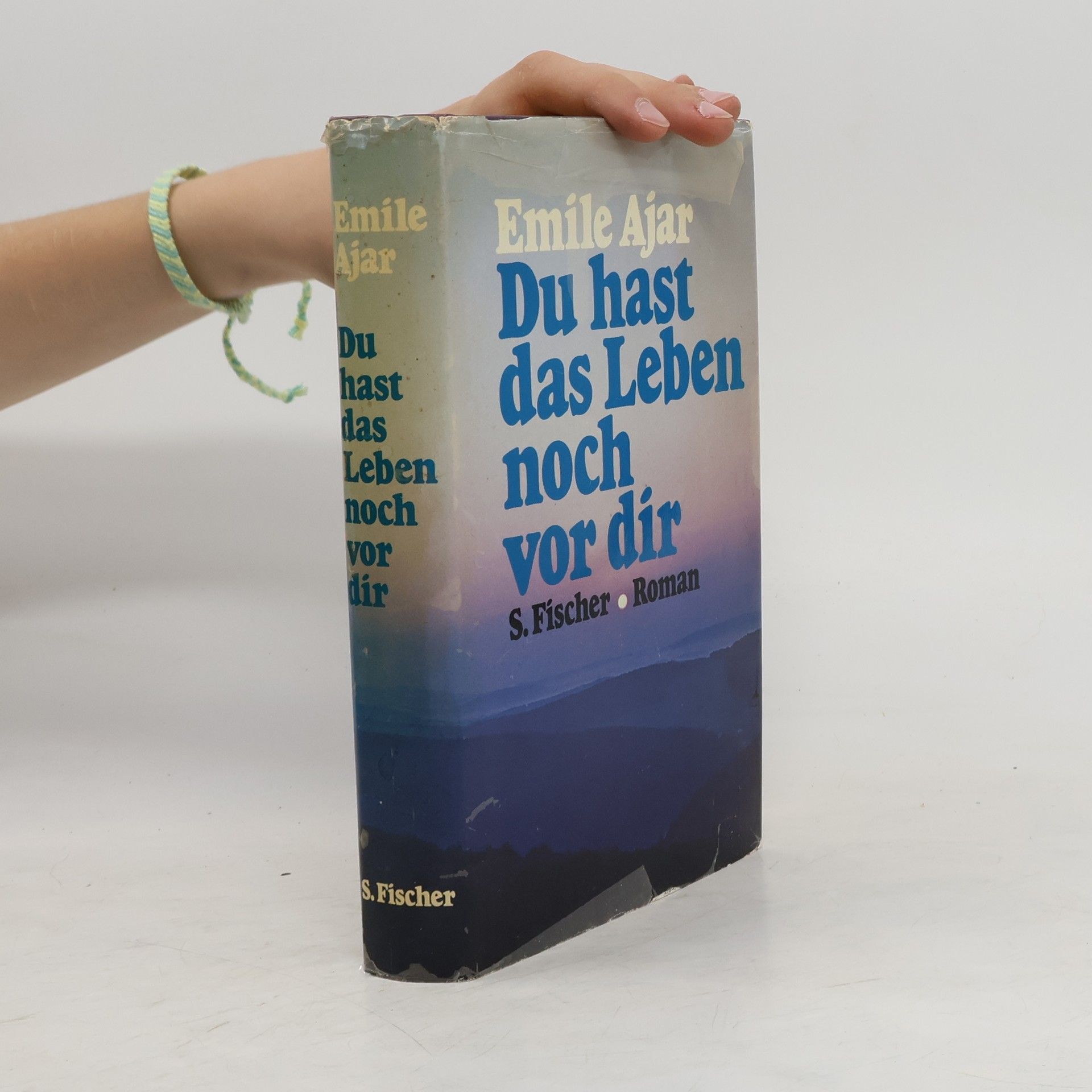 Romain Gary Du hast das Leben noch vor dir