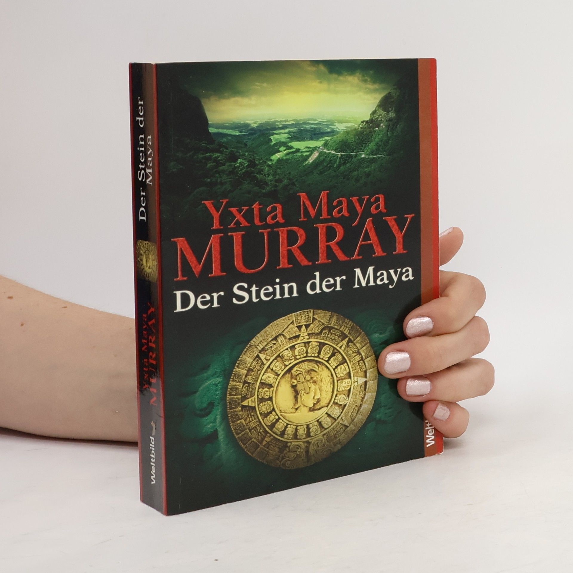 Yxta Maya Murray Der Stein der Maya