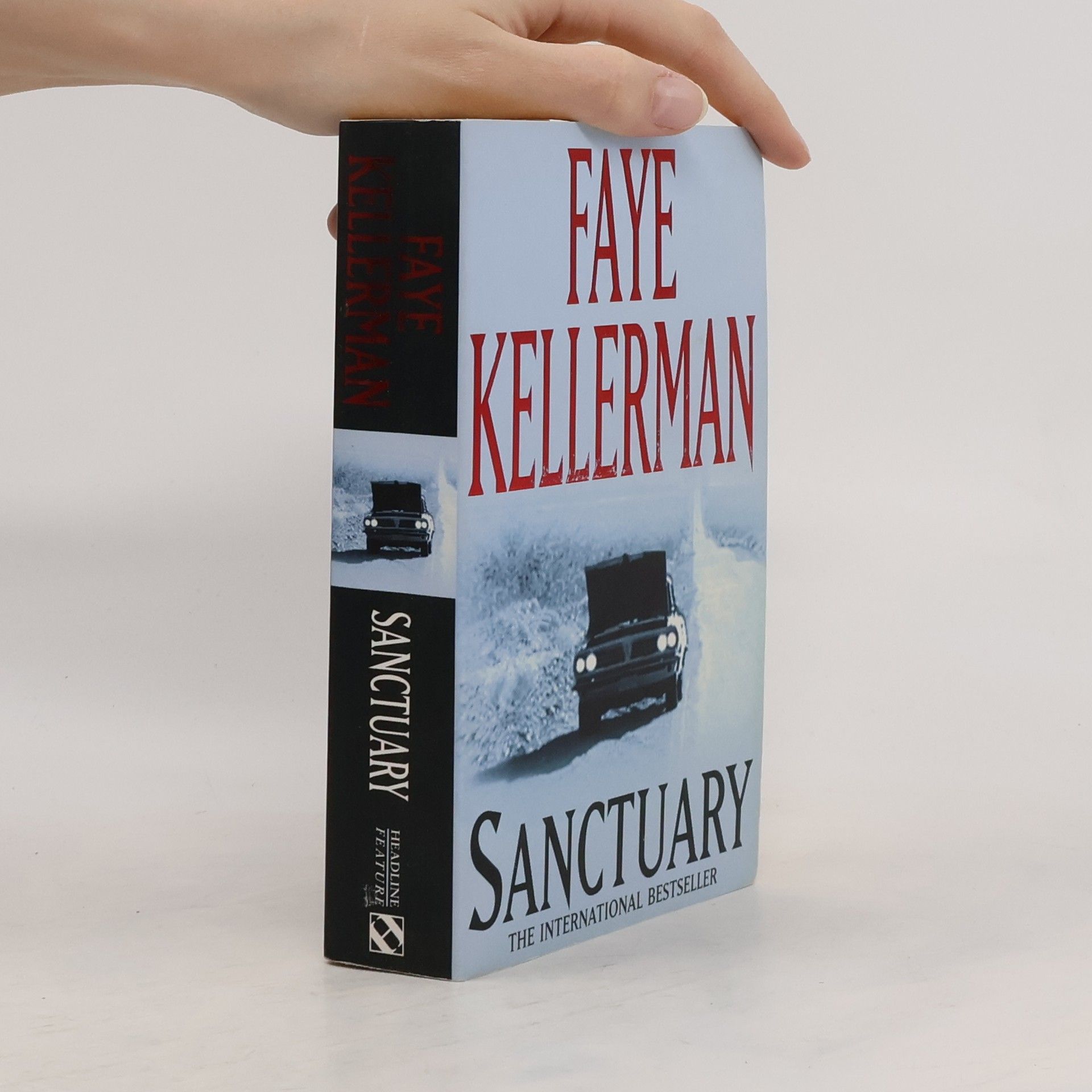 Faye Kellerman Sanctuary