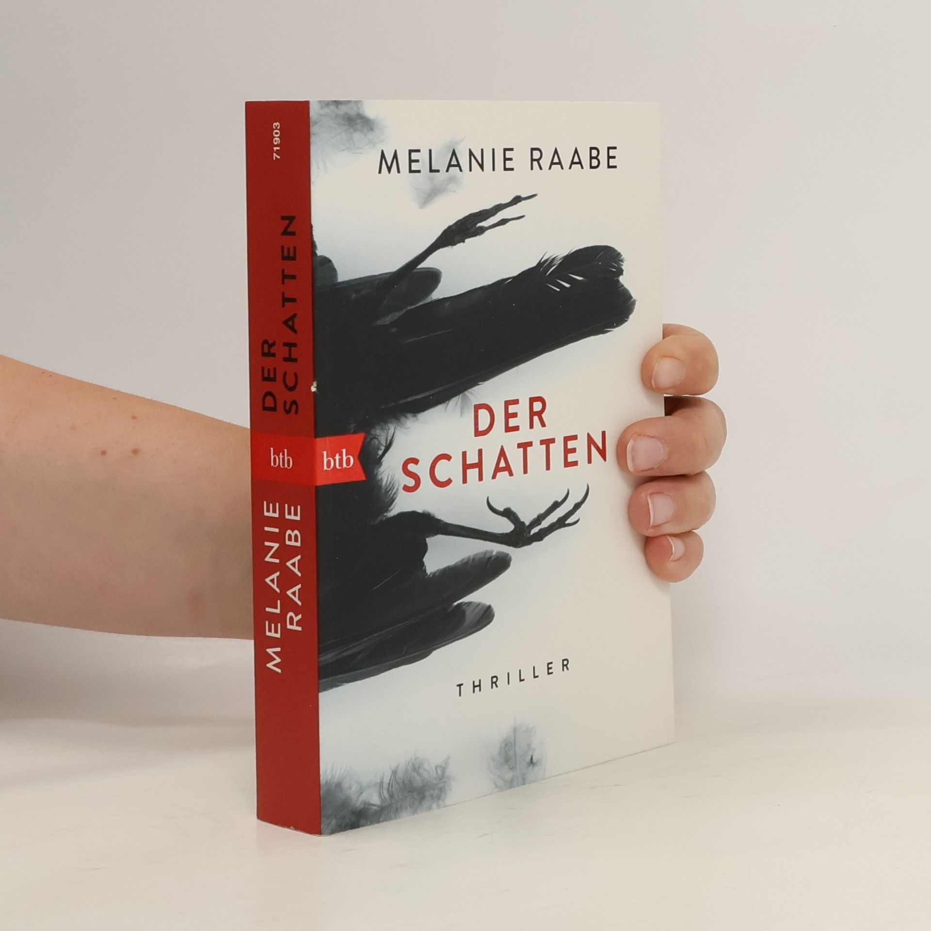 Melanie Raabe Der Schatten