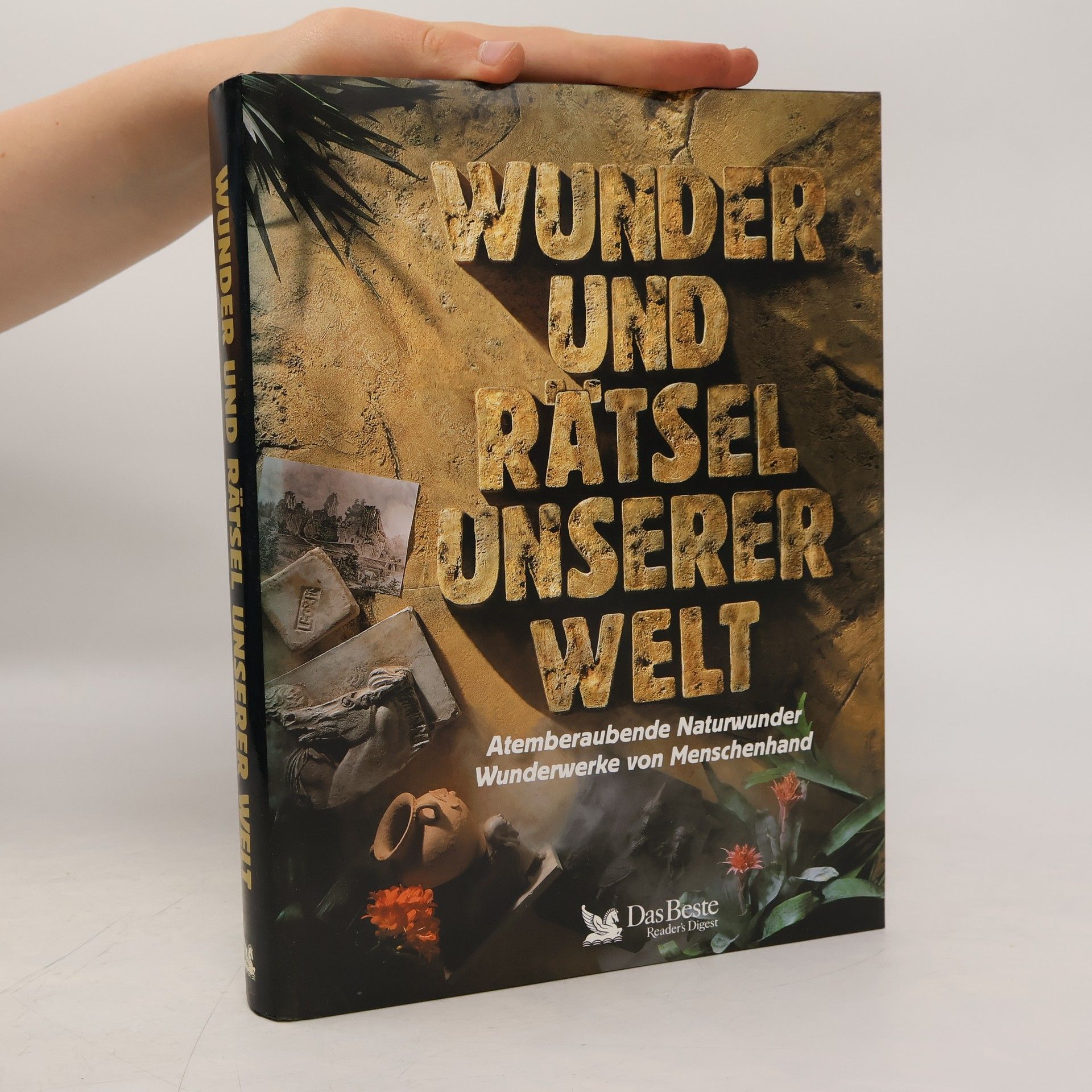Martin Lehr Wunder und Rätsel unserer Welt