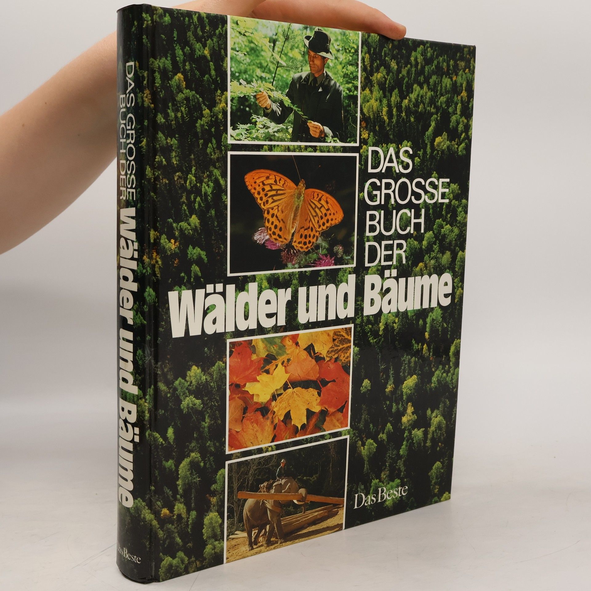 Hugh Johnson Das grosse Buch der Wälder und Bäume
