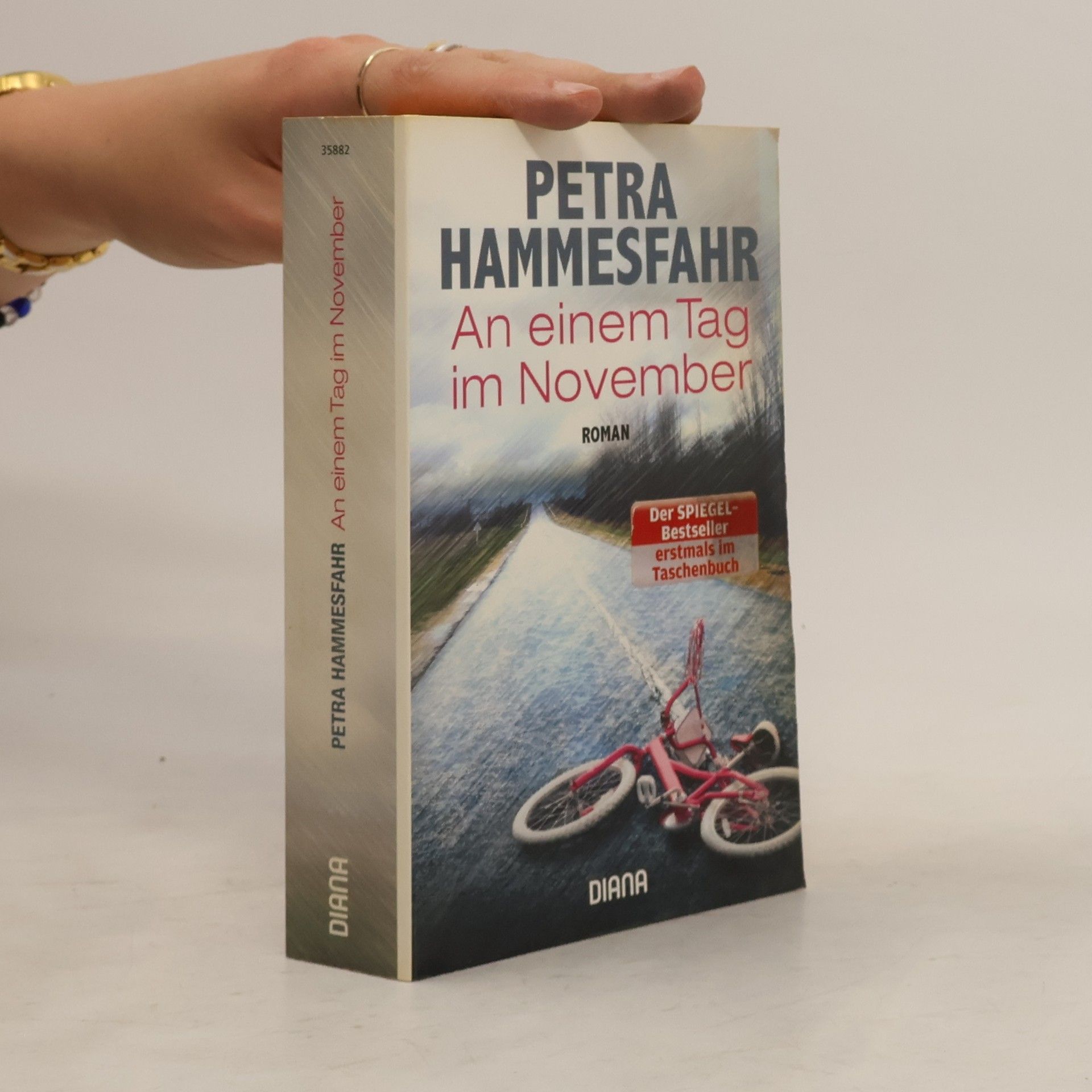 Petra Hammesfahr An einem Tag im November
