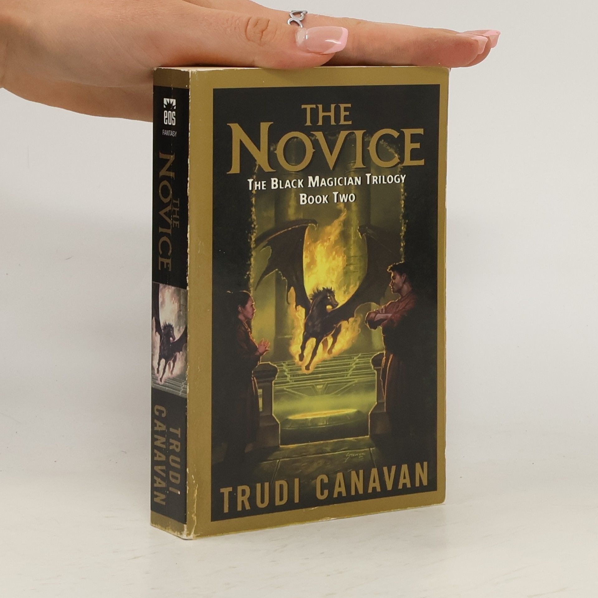Trudi Canavan The Novice: The Black Magician Trilogy, Book 2