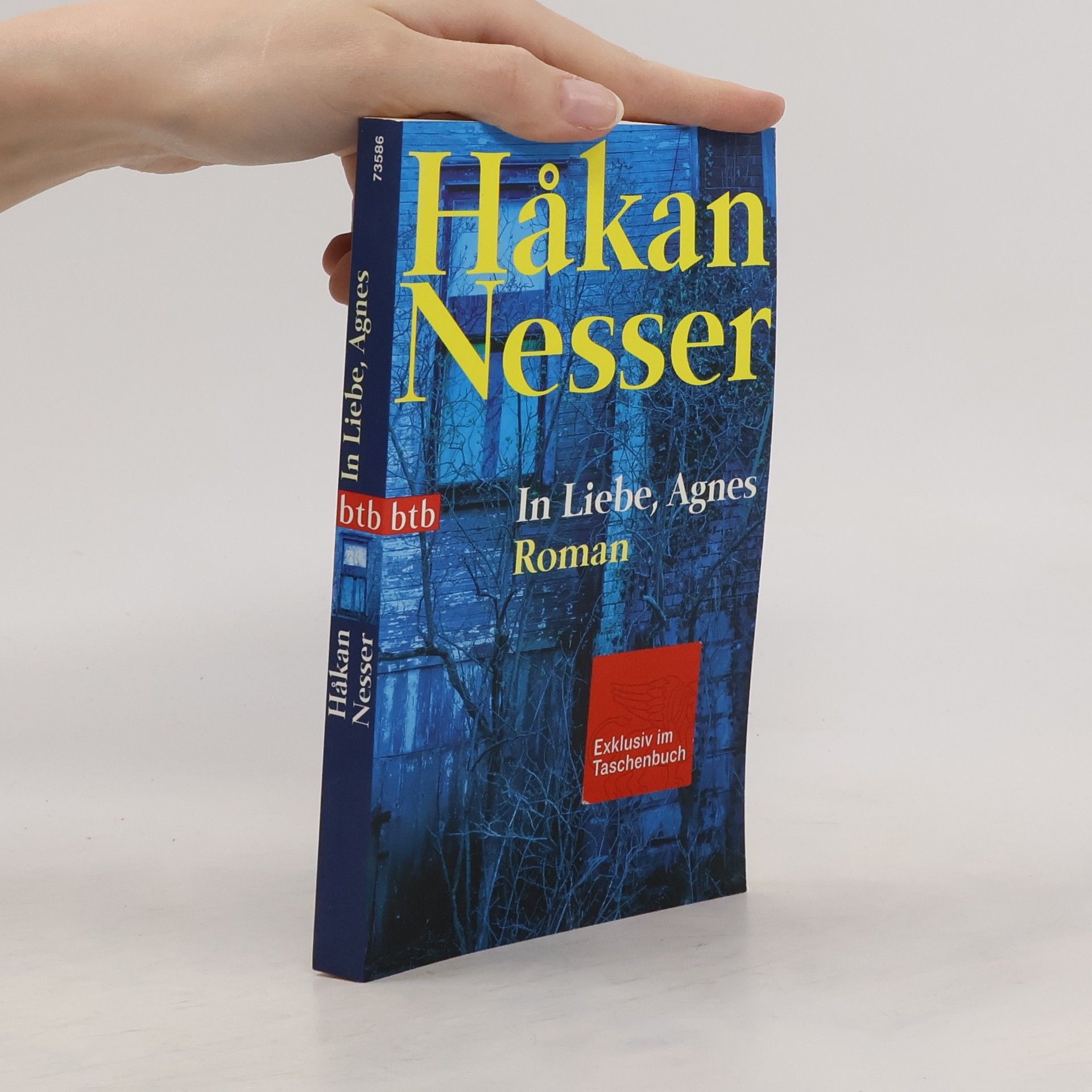 Håkan Nesser In Liebe, Agnes