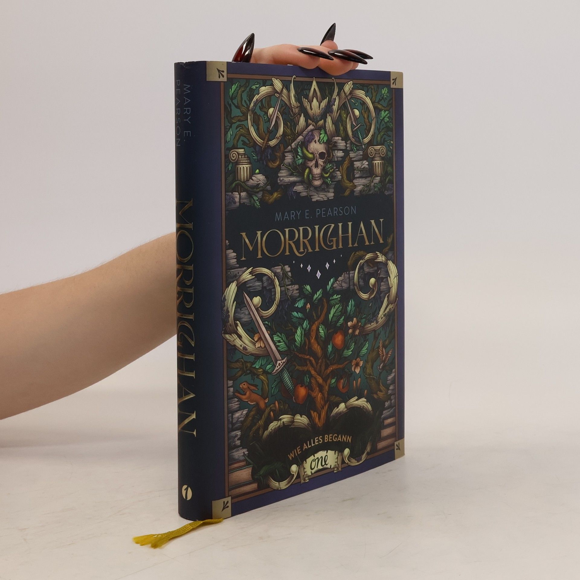 Mary E. Pearson Morrighan - Wie alles begann