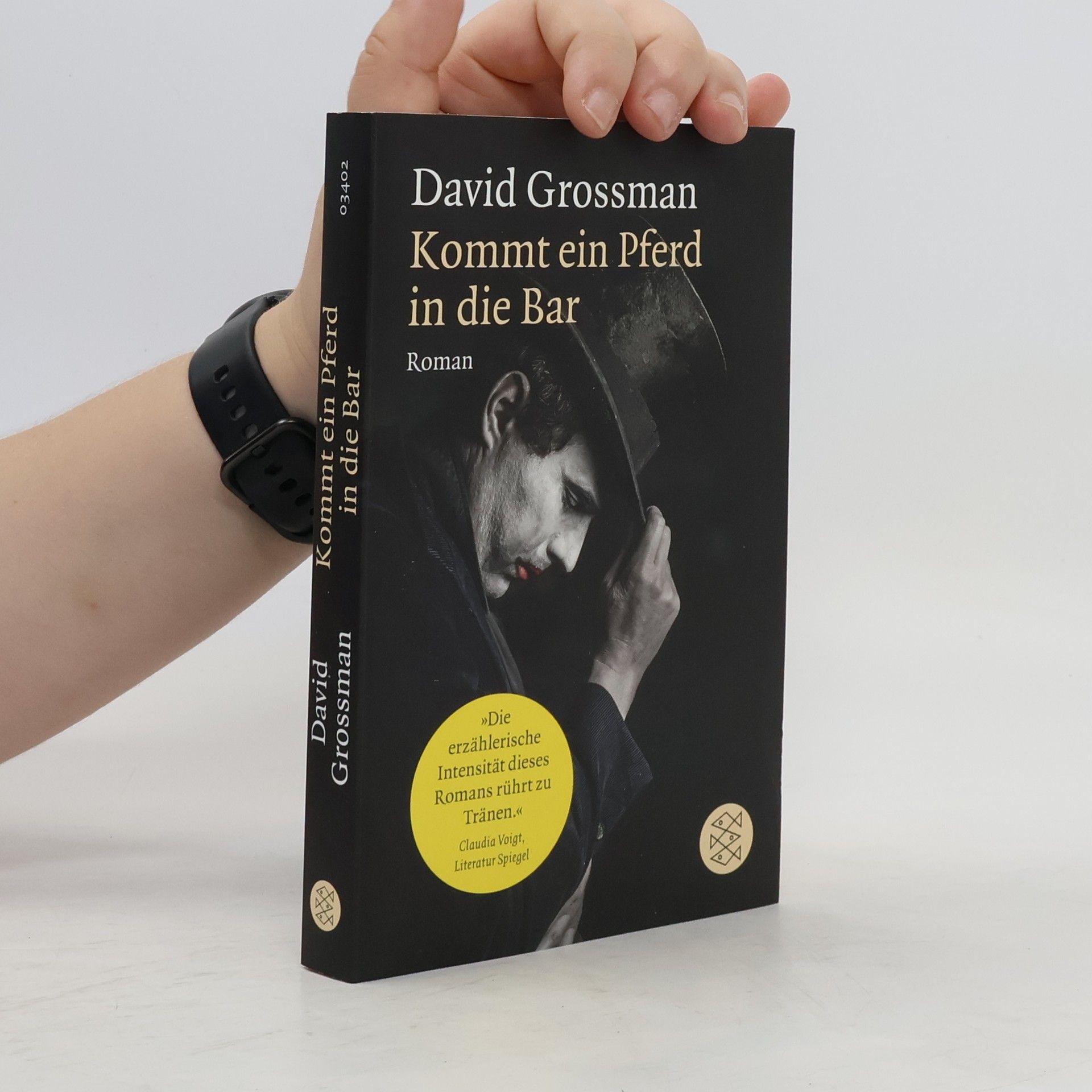 David Grossman Kommt ein Pferd in die Bar