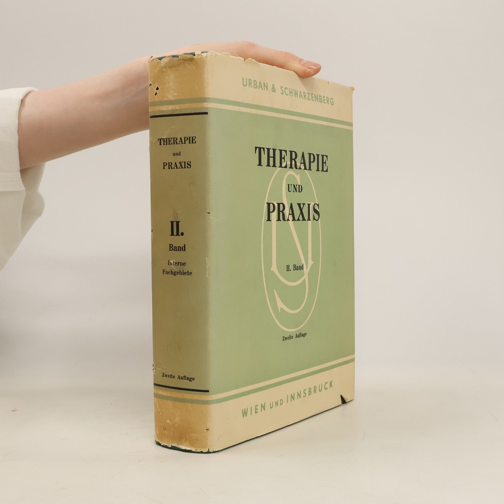 Collectif d'auteurs Therapie und Praxis II