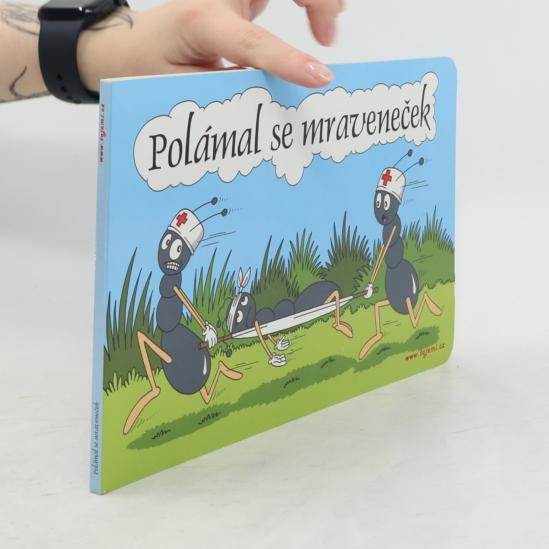 Petr Mičánek Polámal se mraveneček