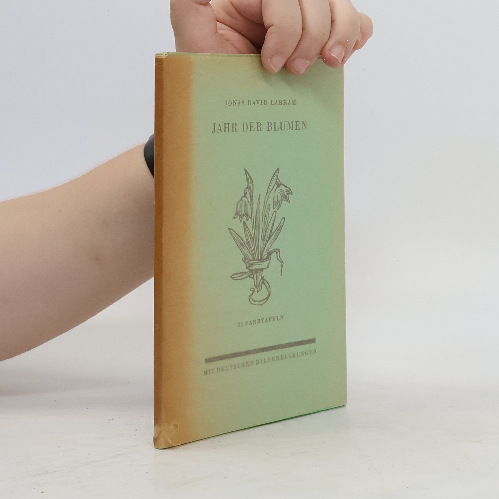 Jonas David Labram Jahr der Blumen