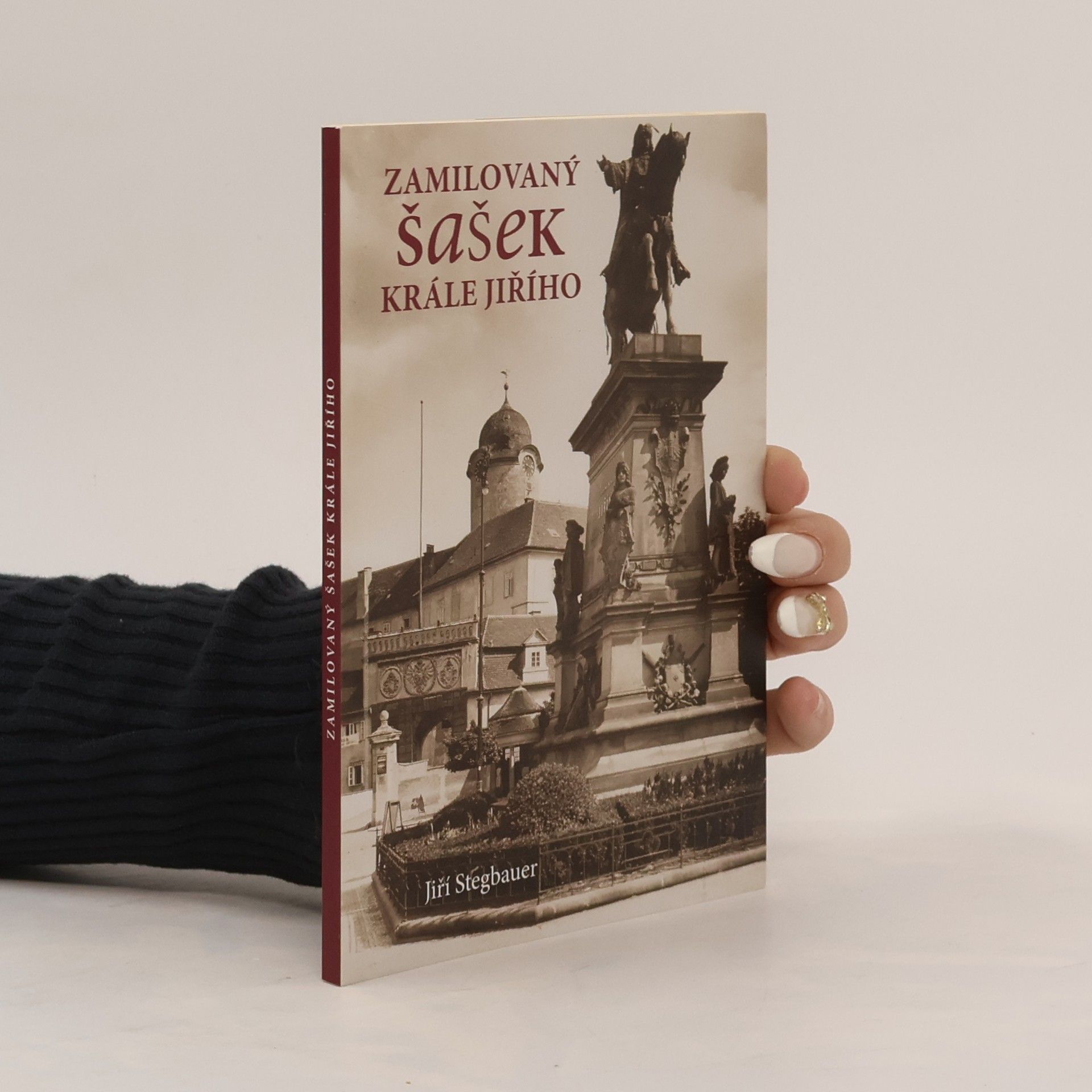 Jiří Stegbauer Zamilovaný šašek krále Jiřího