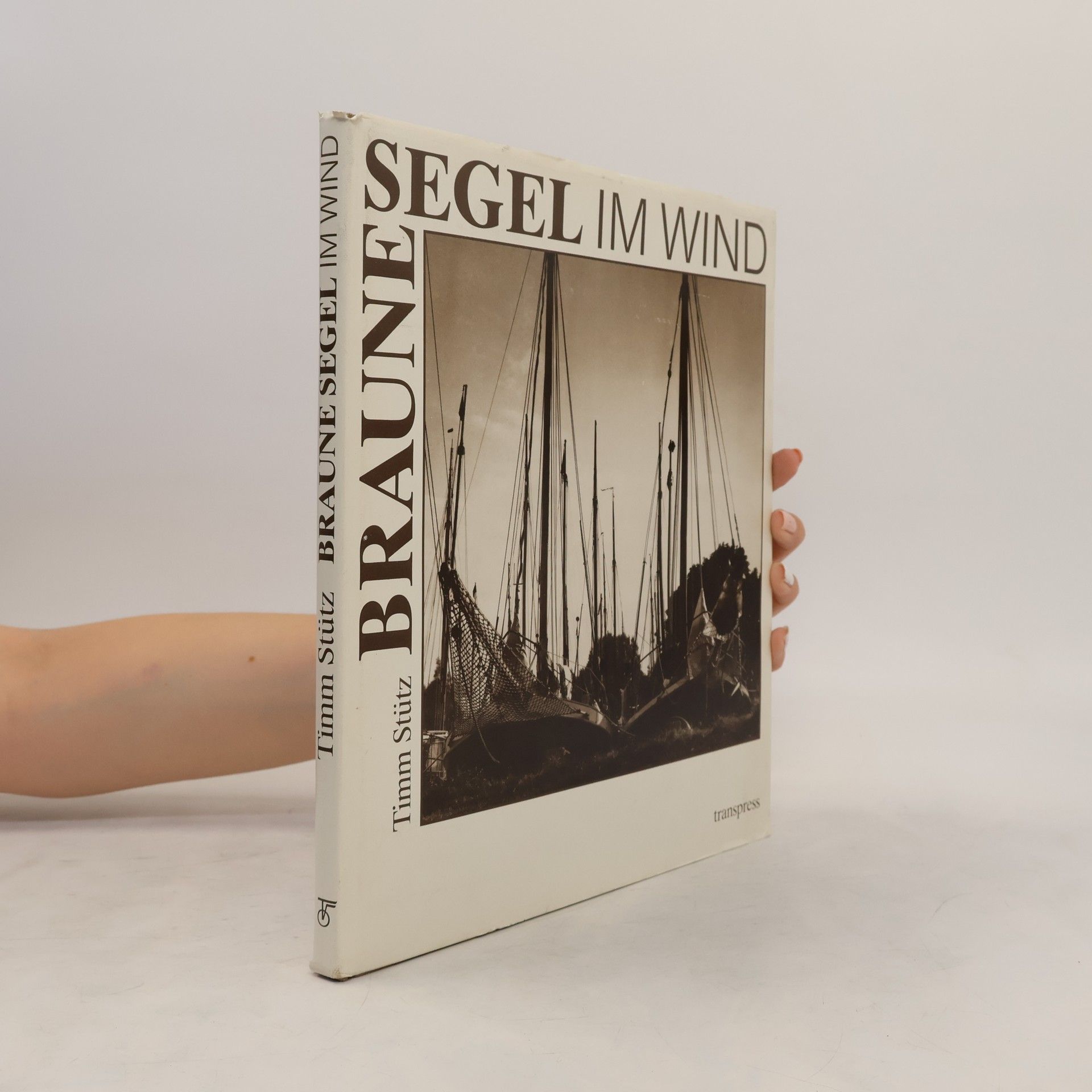 Timm Stütz Braune Segel im Wind
