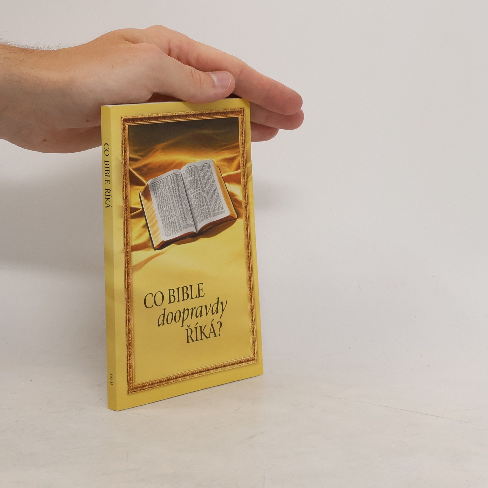 Collectif d'auteurs Co Bible doopravdy říká?