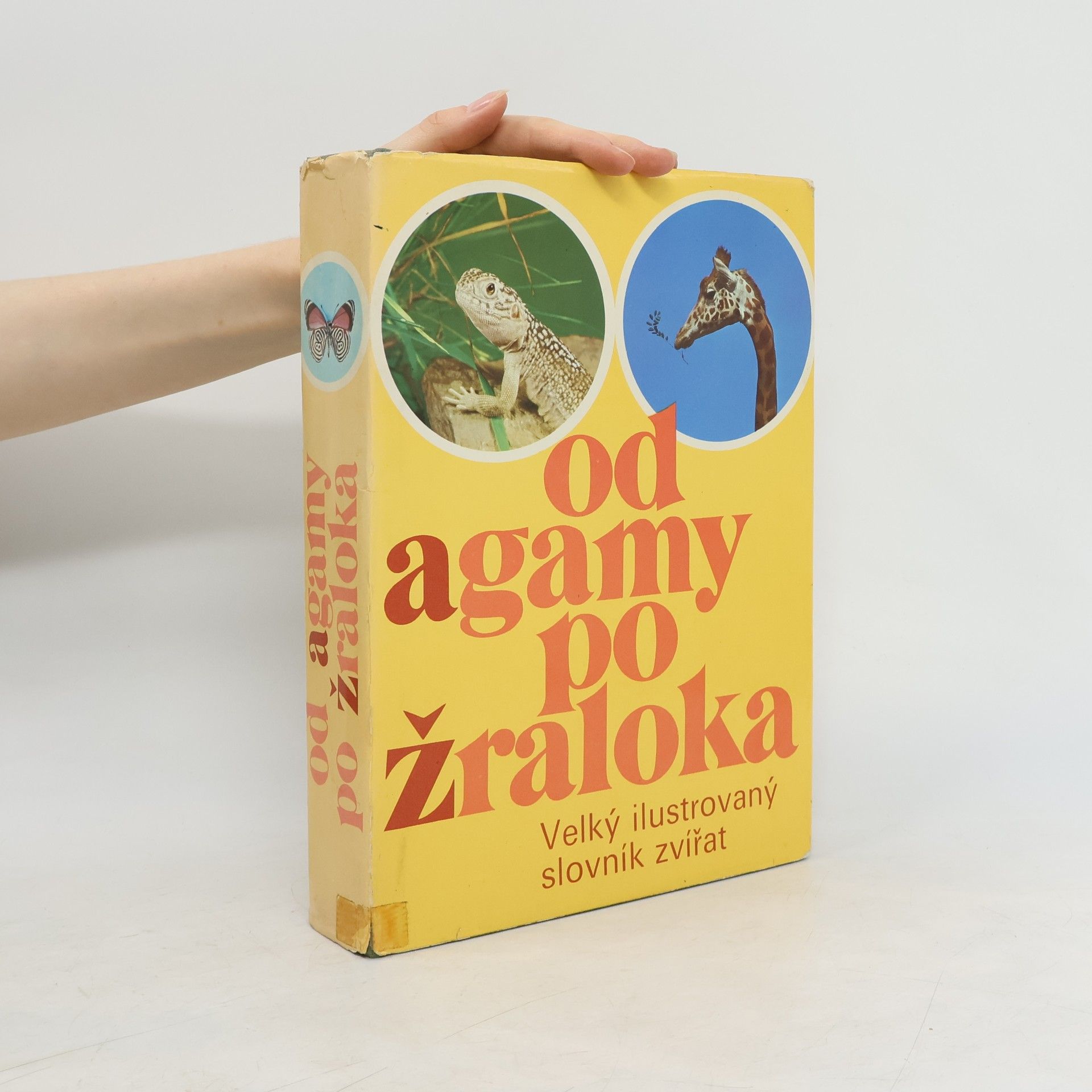 Kolektiv autorů Od agamy po žraloka. Velký ilustrovaný slovník zvířat