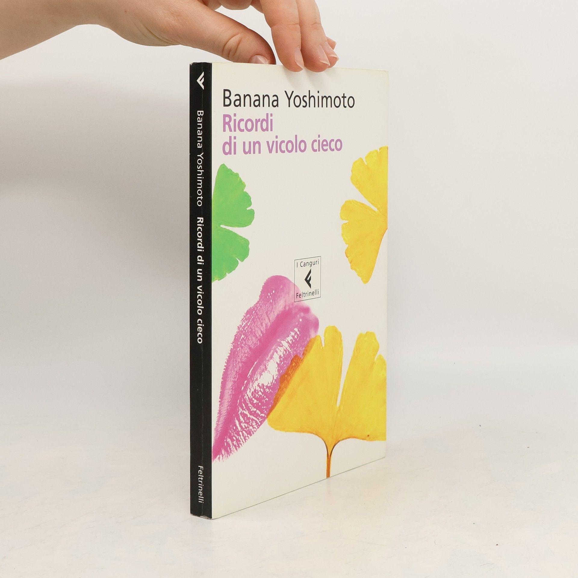Banana Jošimoto Ricordi di un vicolo cieco