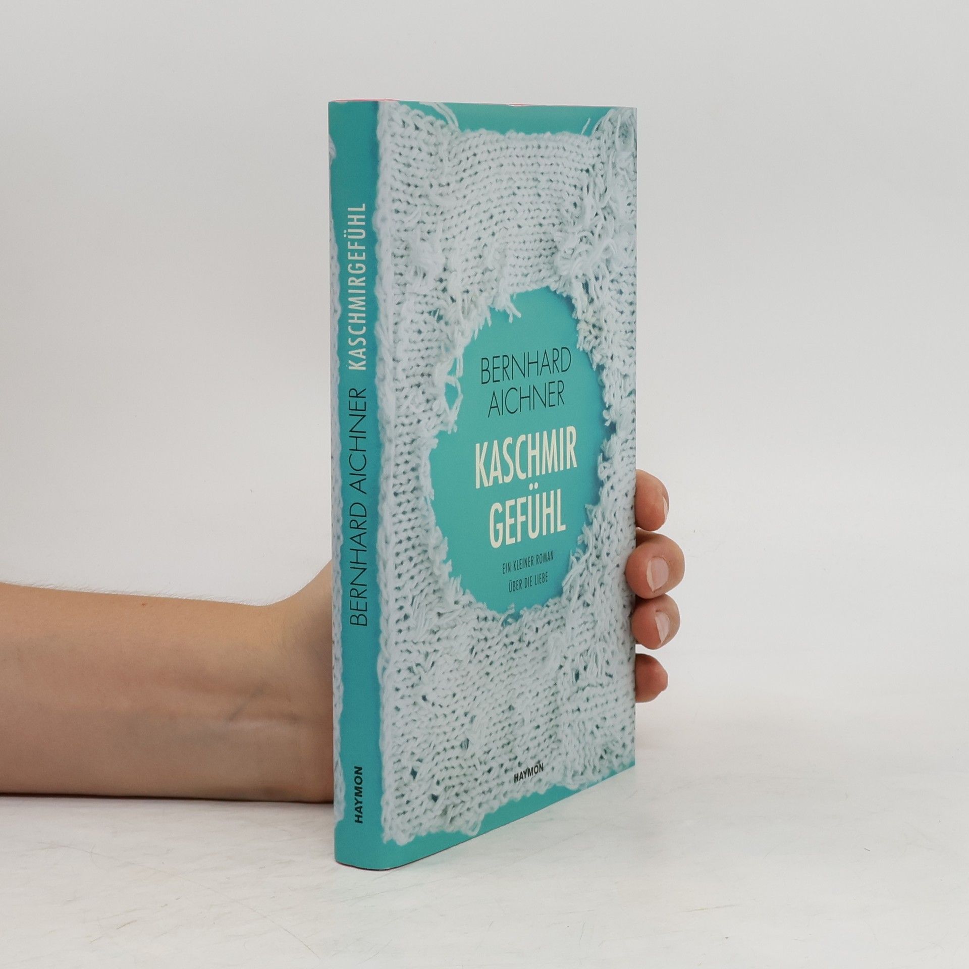 Bernhard Aichner Kaschmirgefühl