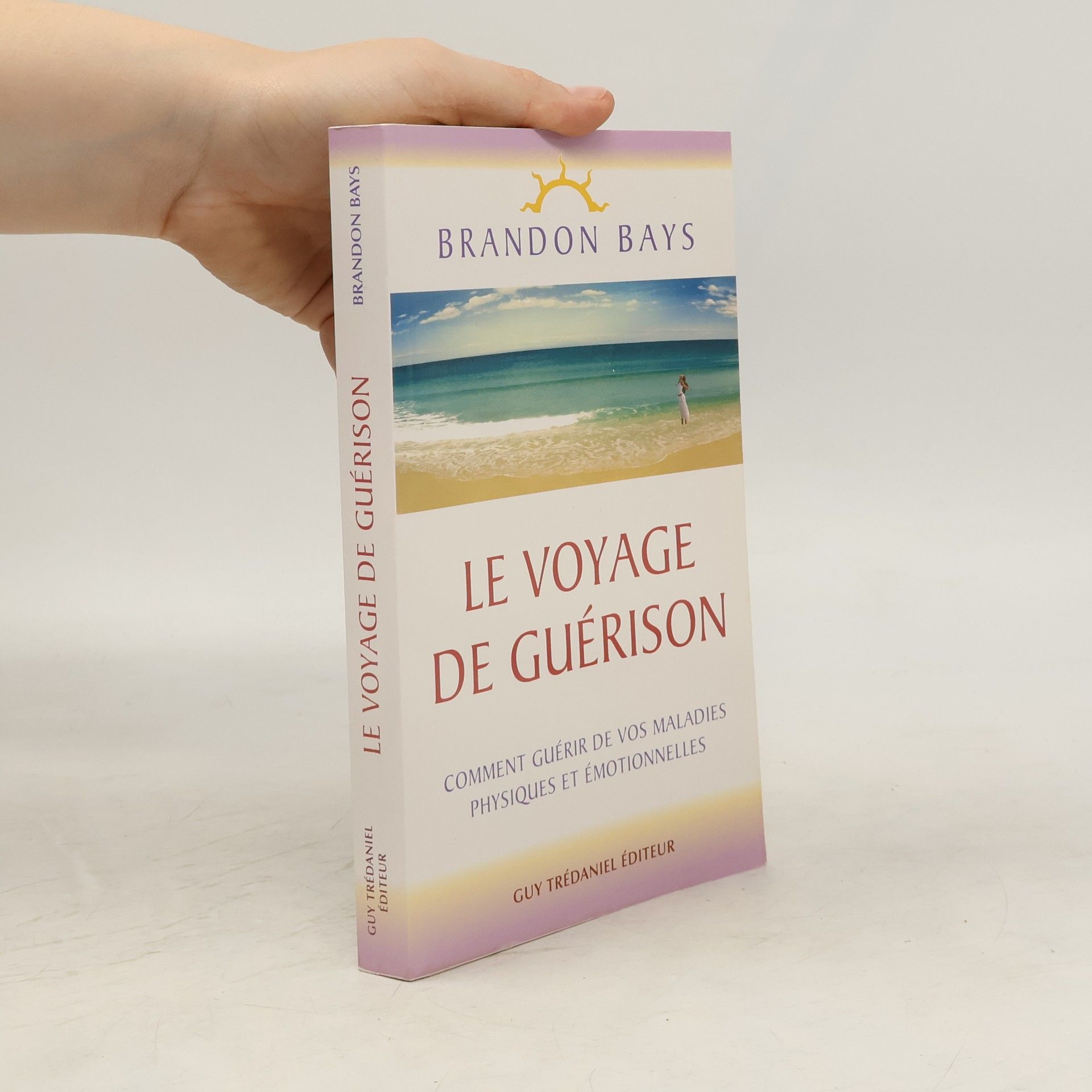 Brandon Bays Le Voyage de Guérison