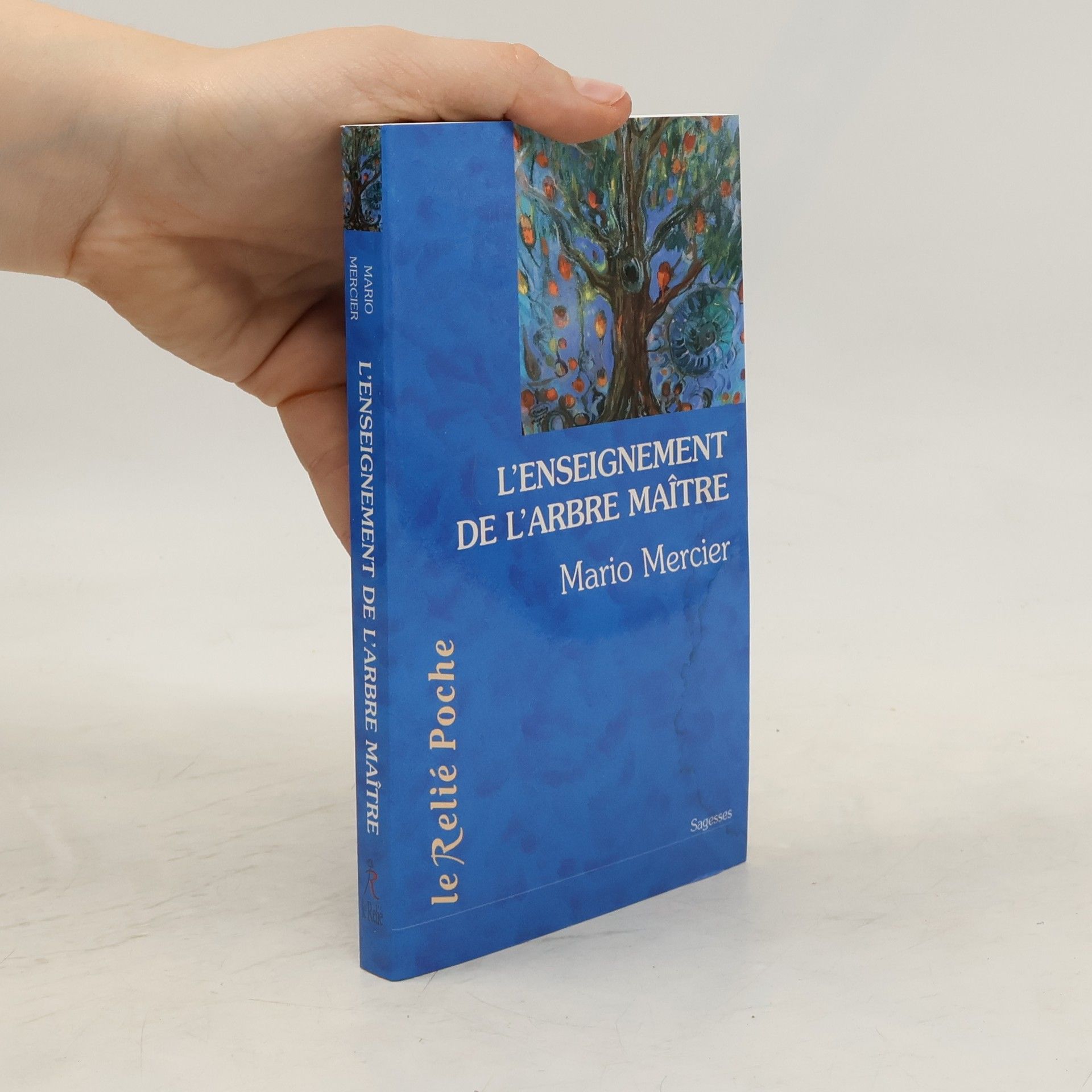 Mario Mercier L'Enseignement de l'arbre-maître