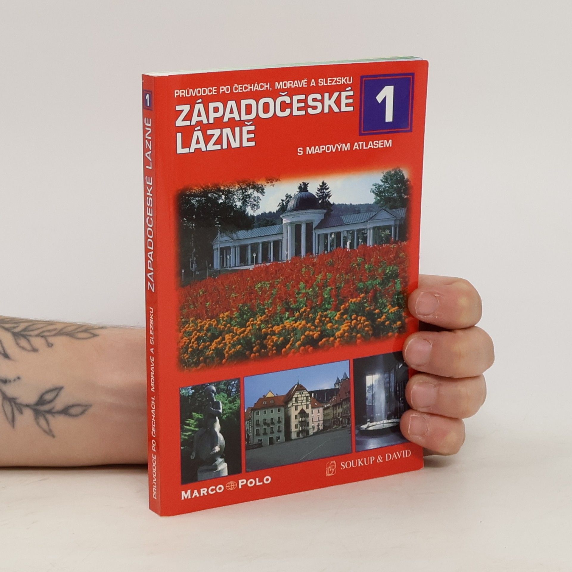 P. David Západočeské lázně