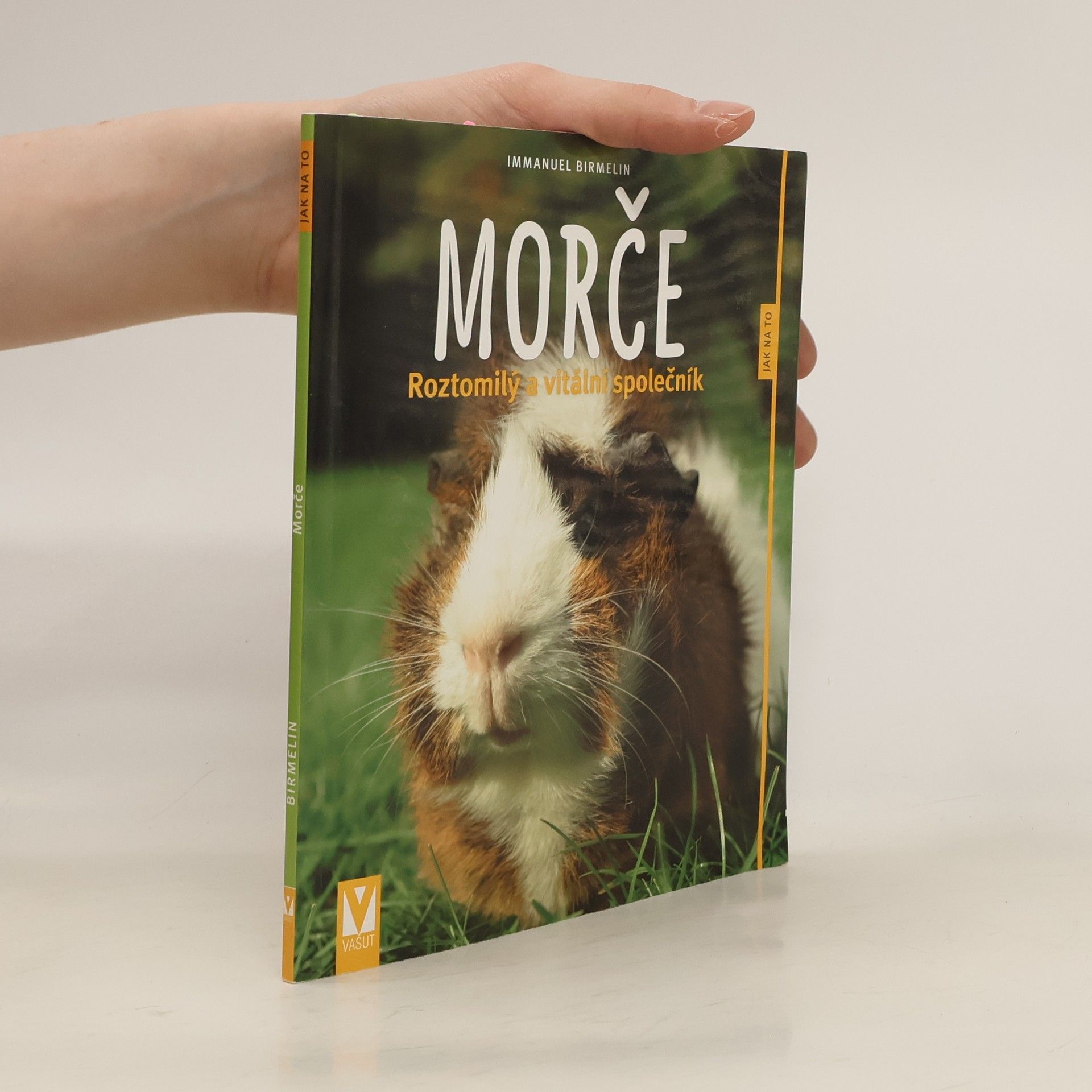 Immanuel Birmelin Morče. Roztomilý a vitální společník