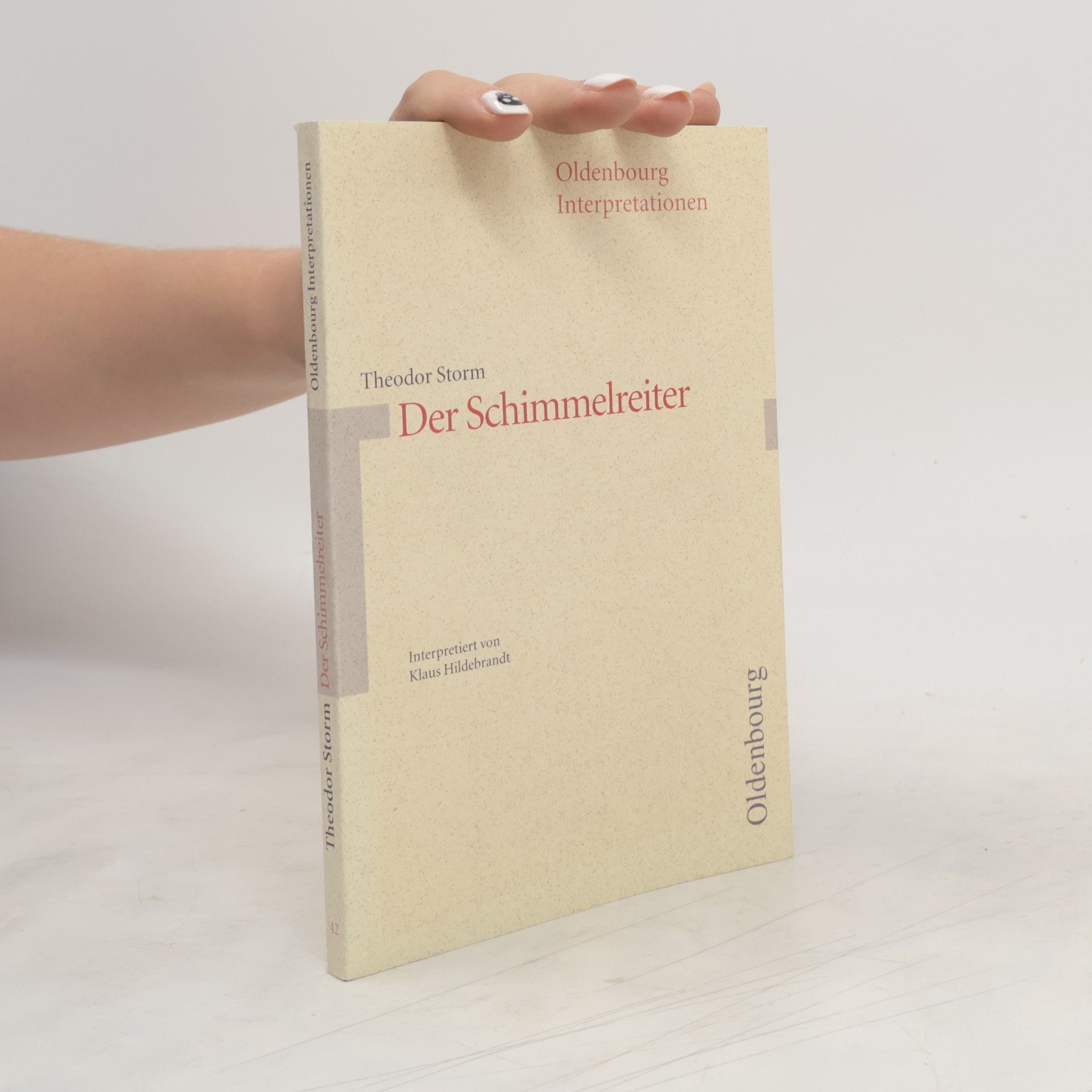 Klaus Hildebrandt Theodor Storm, Der Schimmelreiter