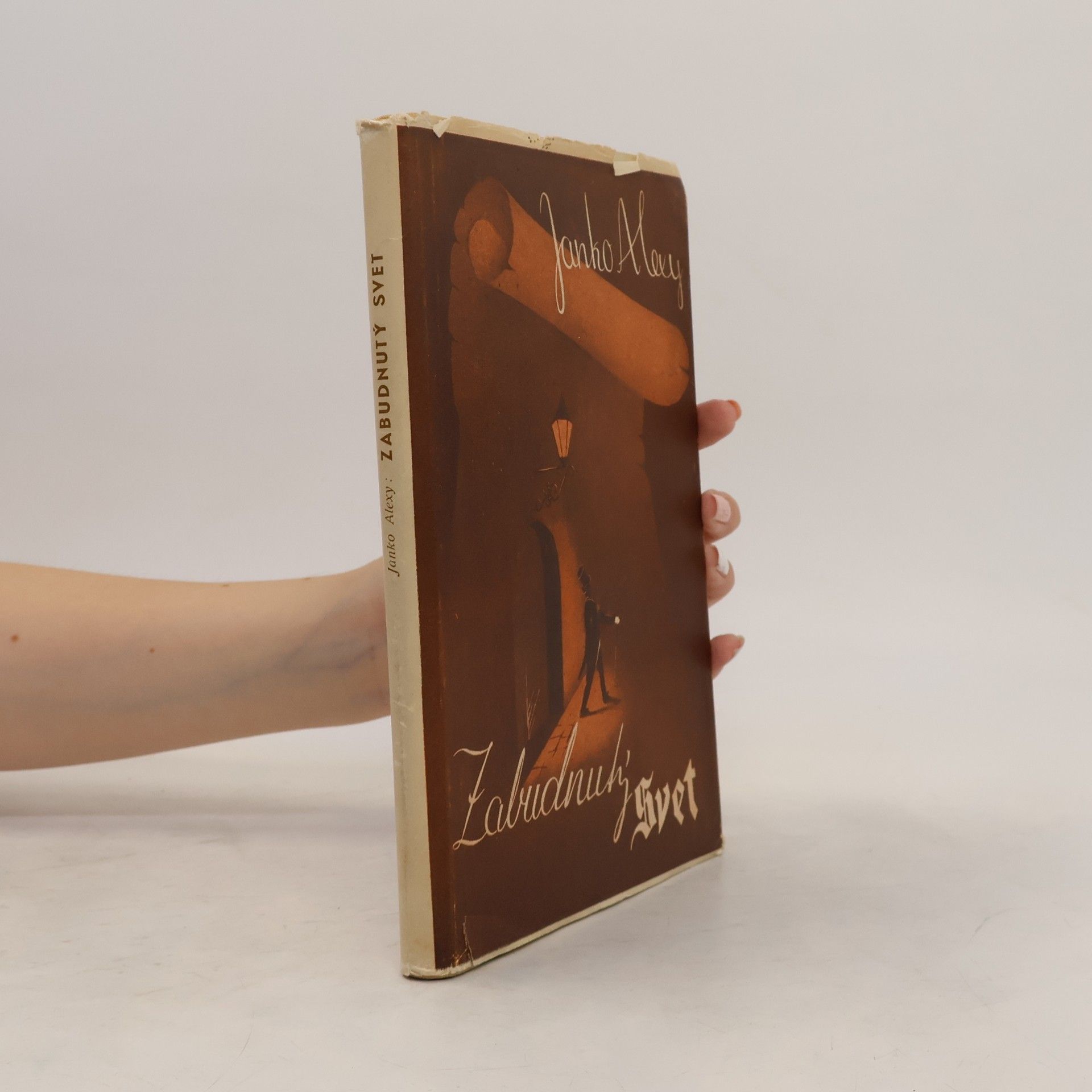 Junko Alexy Zabudnutý svet