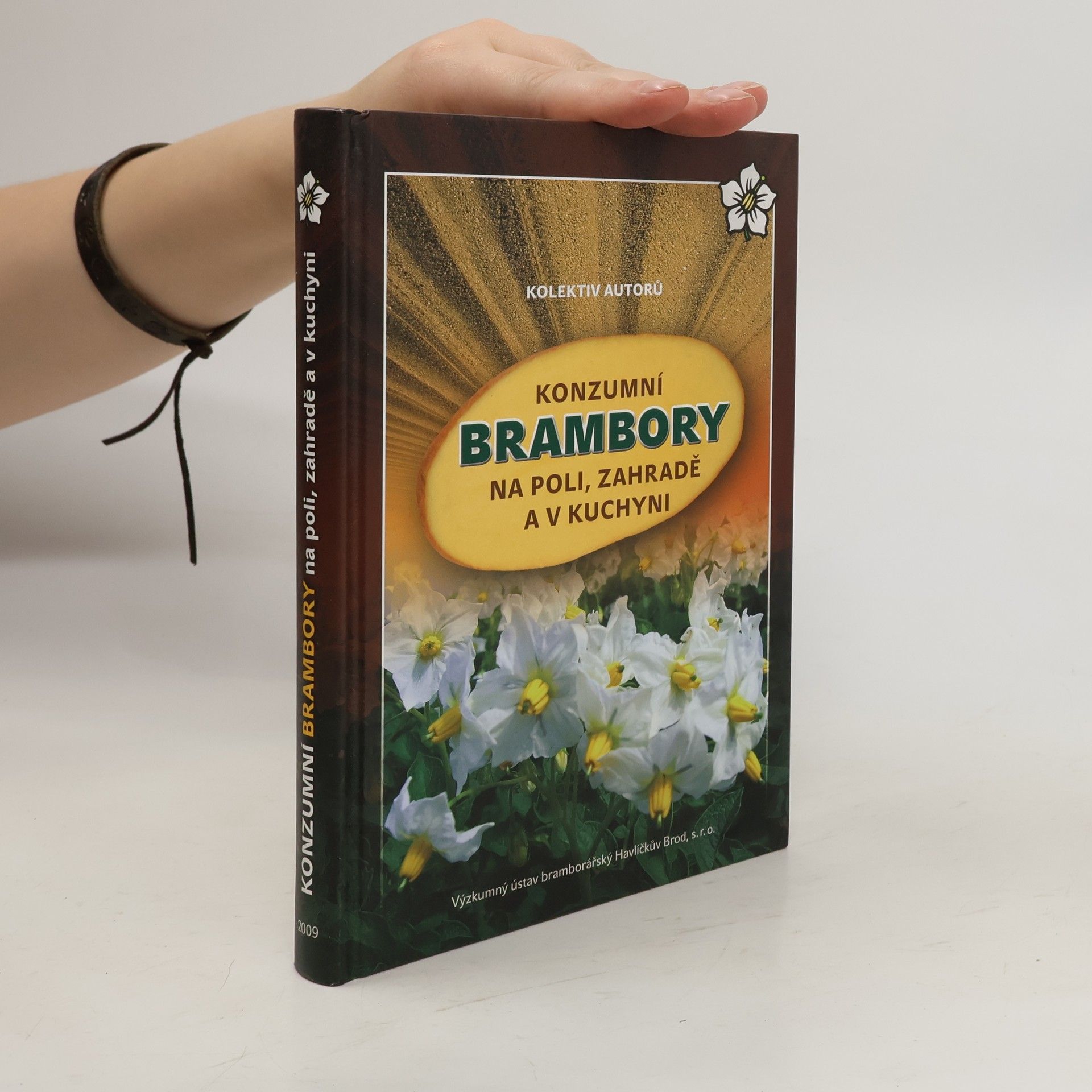 Konzumní brambory na poli, zahradě a v kuchyni