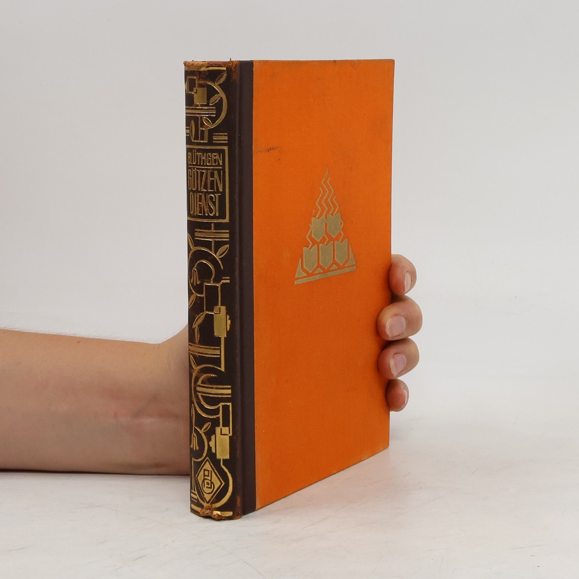 Clara Blüthgen Götzendienst