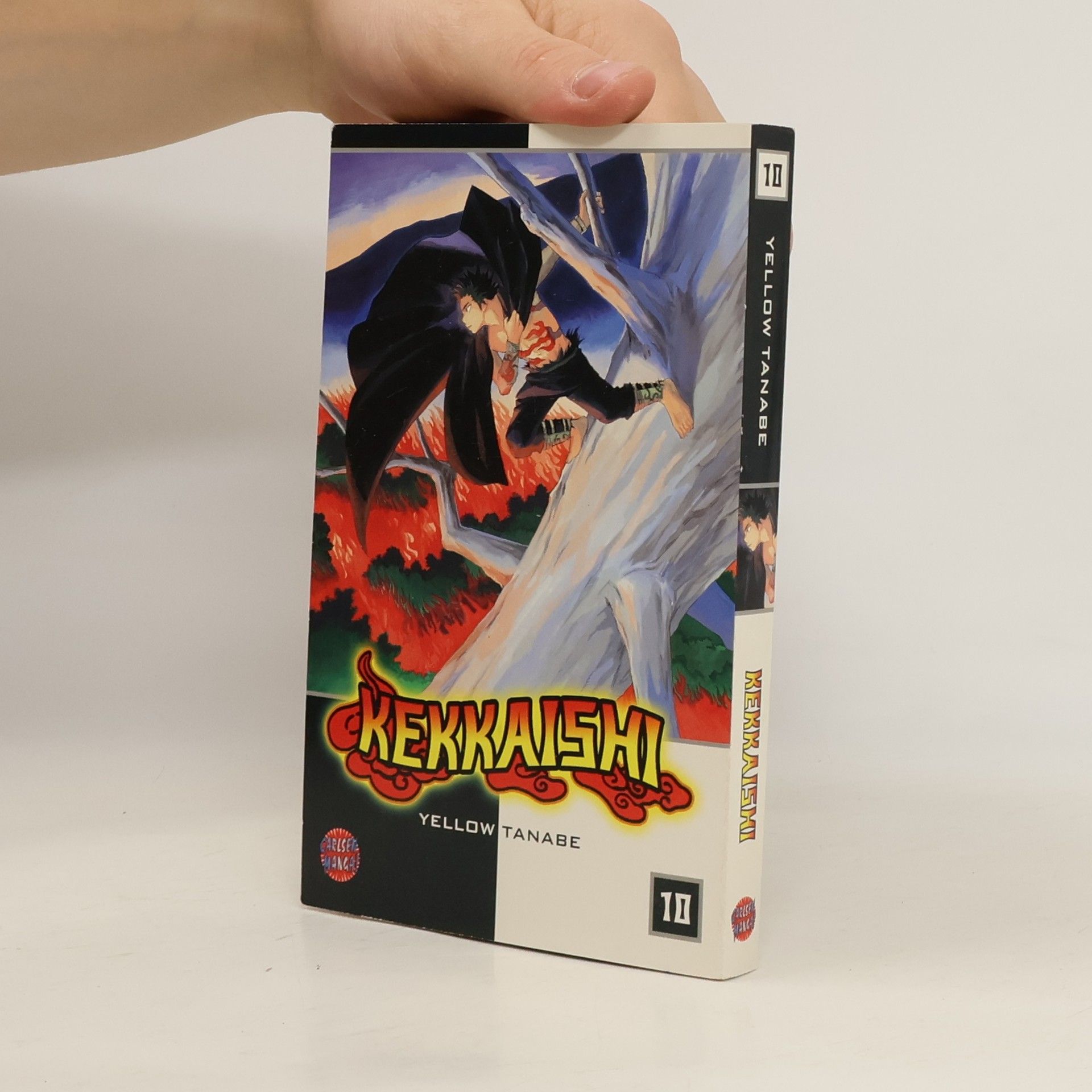 Collectif d'auteurs Kekkaishi 10
