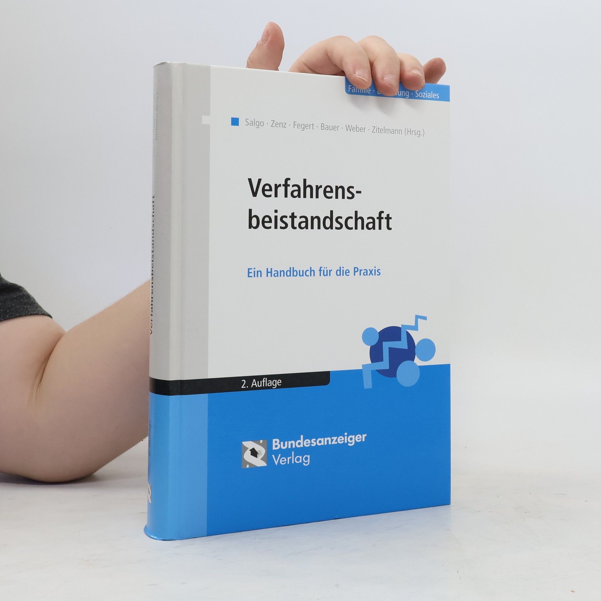 Ludwig Salgo Verfahrensbeistandschaft