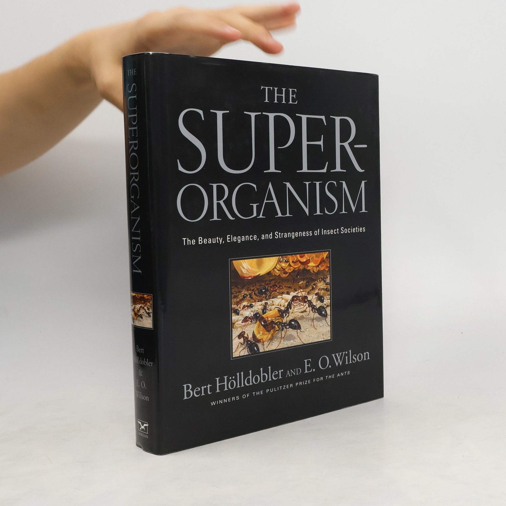 Bert Hölldobler The Superorganism