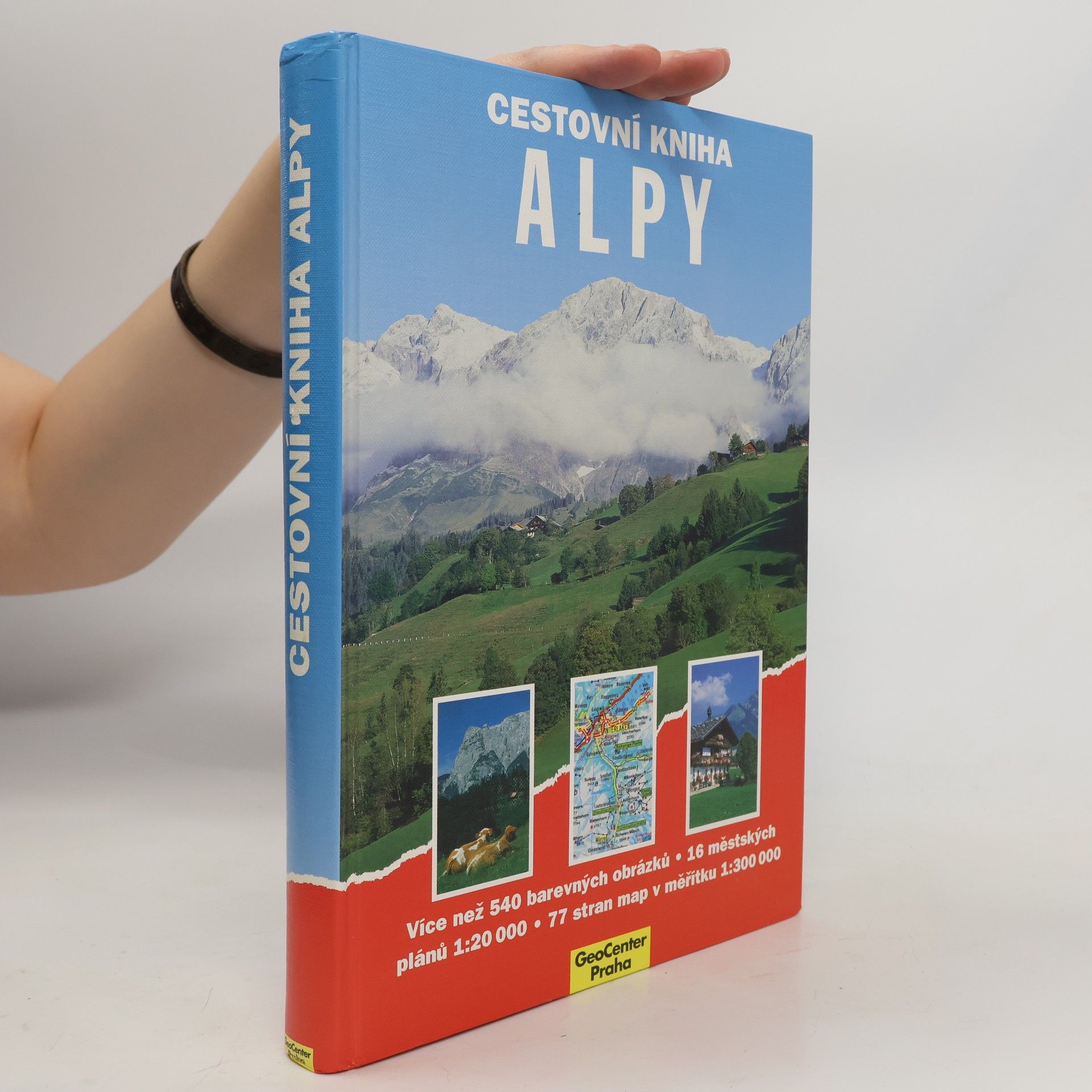 Dieter Maier Cestovní kniha : Alpy