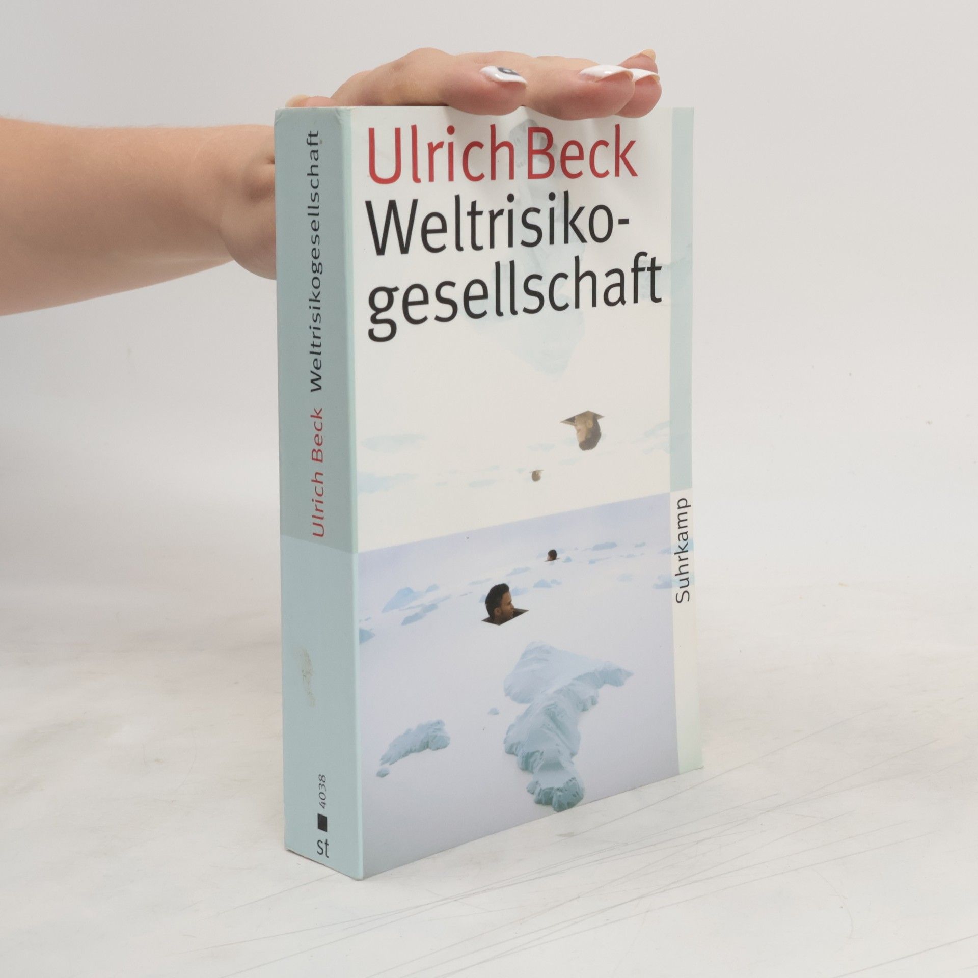 Ulrich Beck Weltrisikogesellschaft