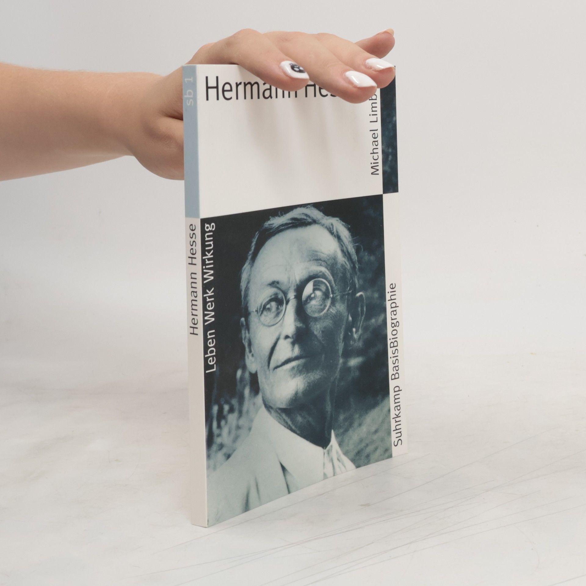 Michael Limberg Hermann Hesse