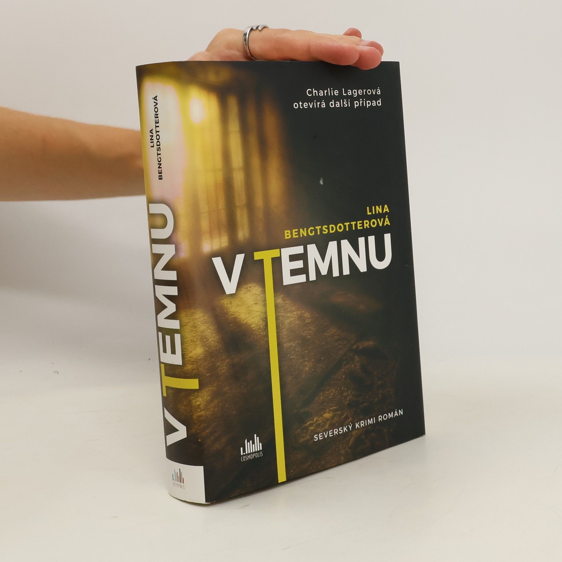 Lina Bengtsdotter V temnu