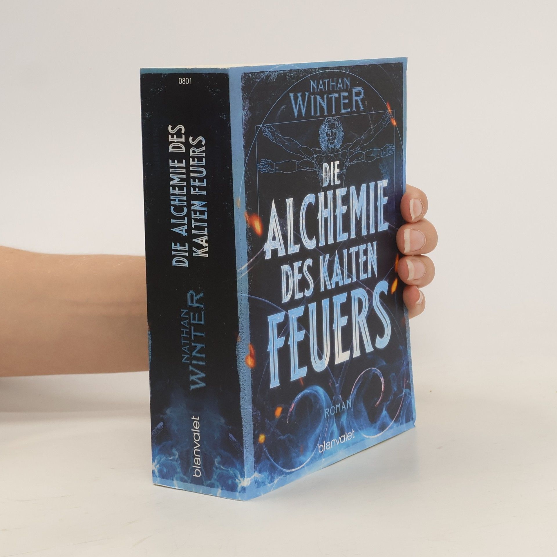 Nathan Winter Die Alchemie des kalten Feuers