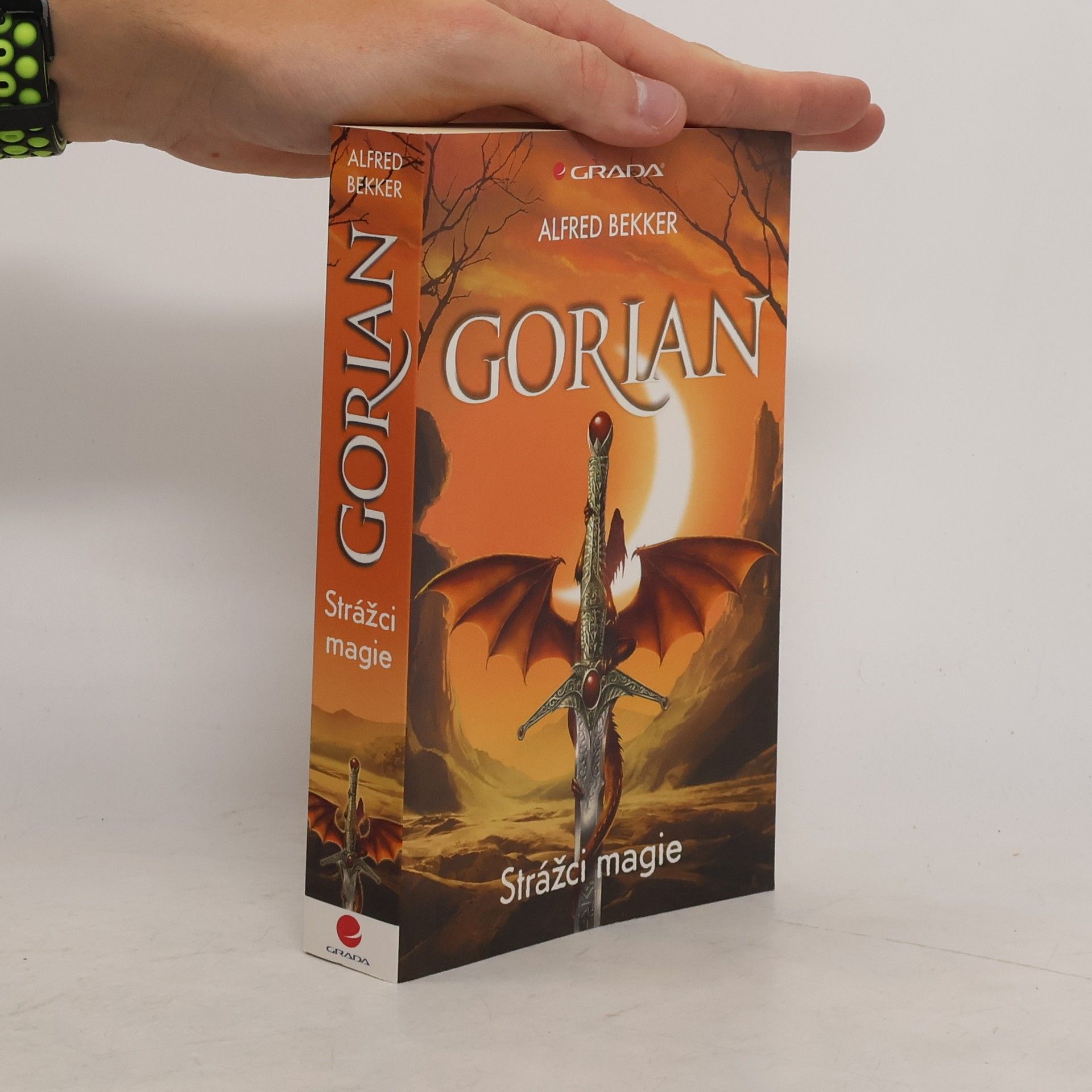 Leslie Garber Gorian. Strážci magie
