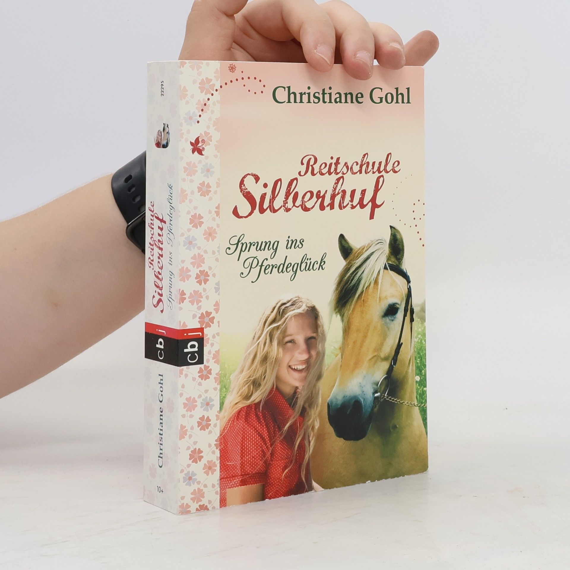 Christiane Gohl Reitschule Silberhuf - Sprung ins Pferdeglück
