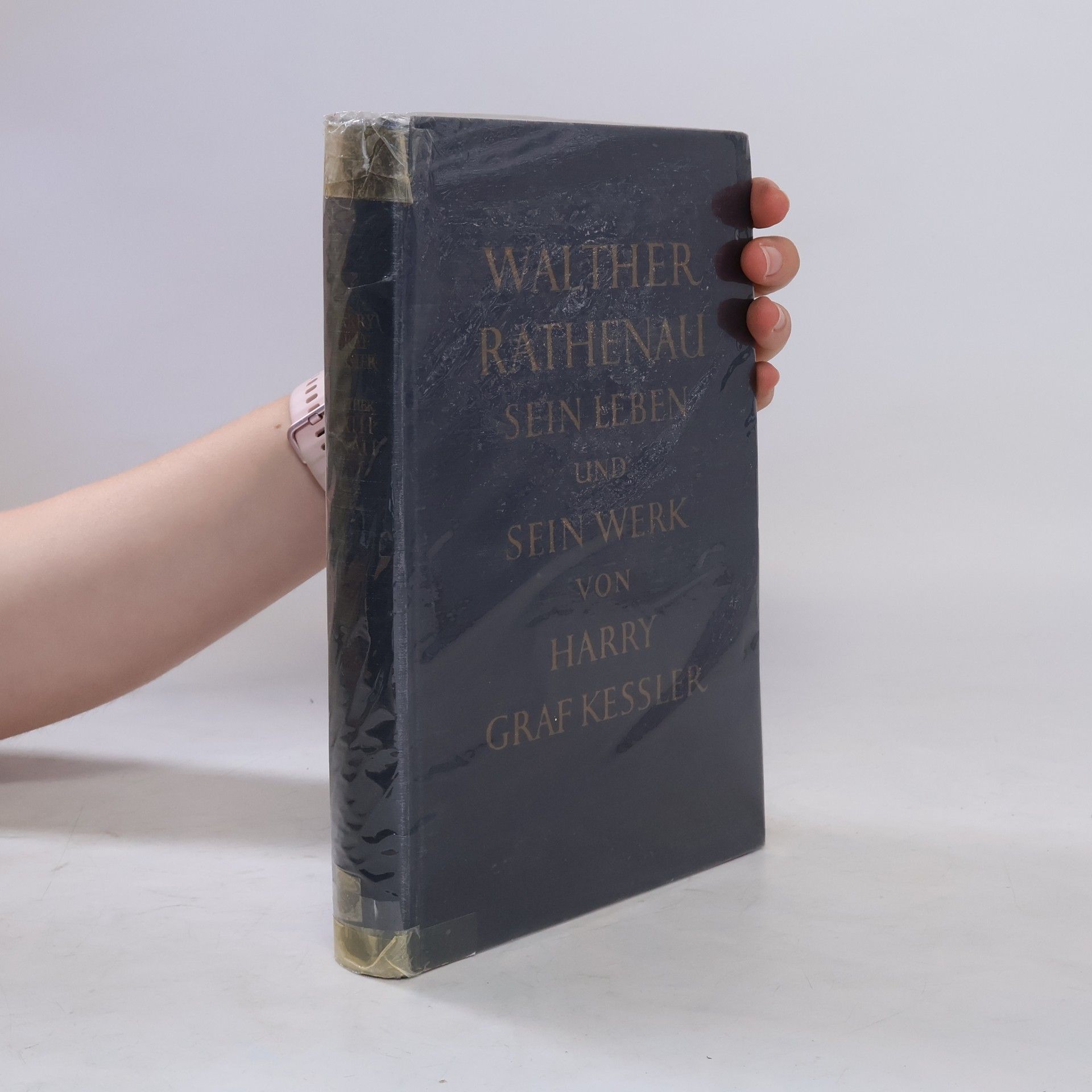 Harry Graf Kessler Walther Rathenau