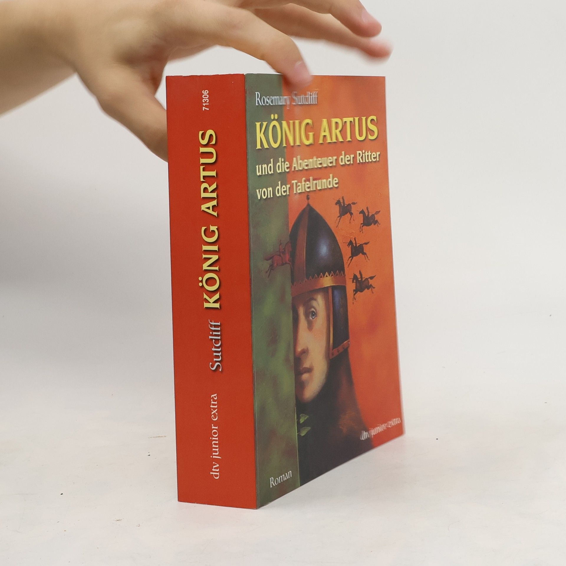 Rosemary Sutcliff König Artus und die Abenteuer der Ritter der Tafelrunde