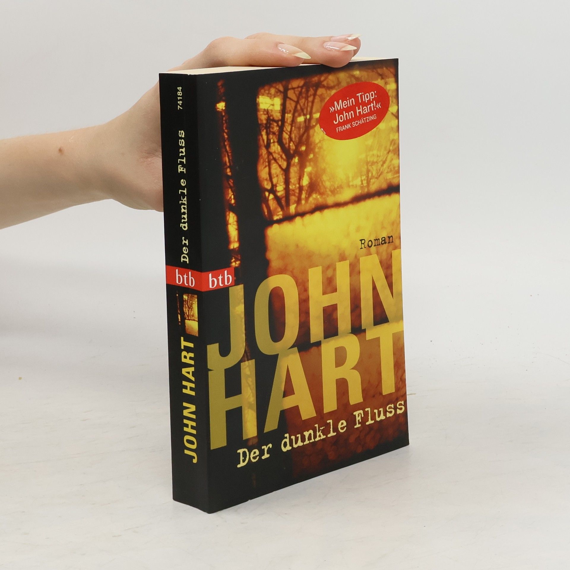 John Hart Der dunkle Fluss