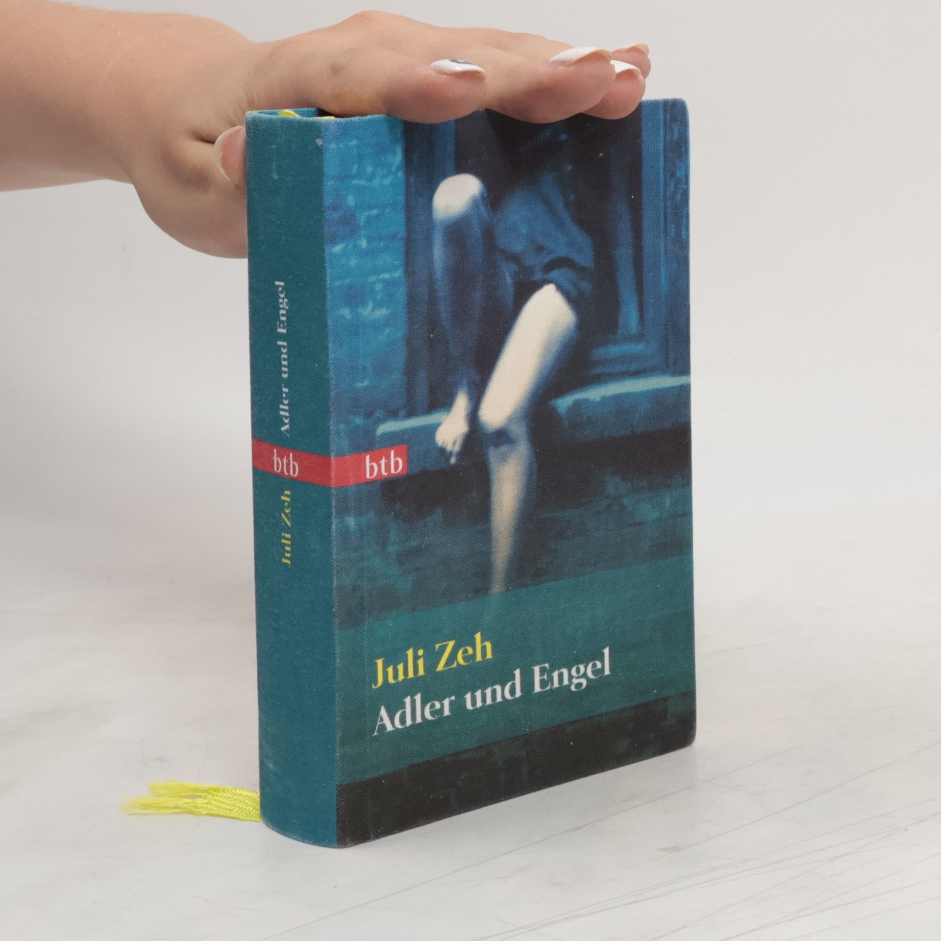 Juli Zeh Adler und Engel
