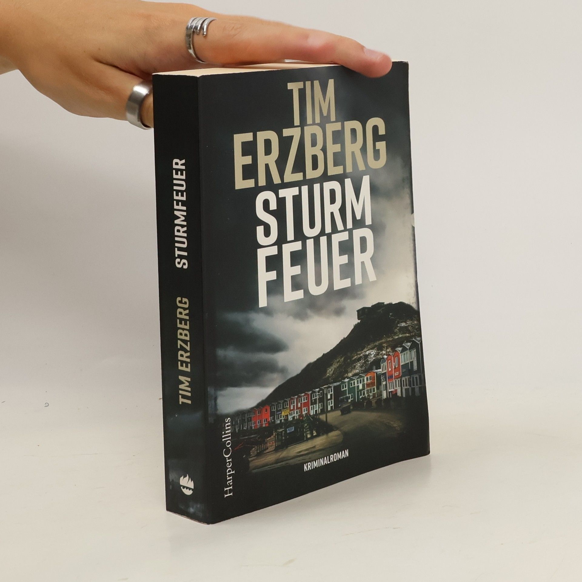 Tim Erzberg Sturmfeuer