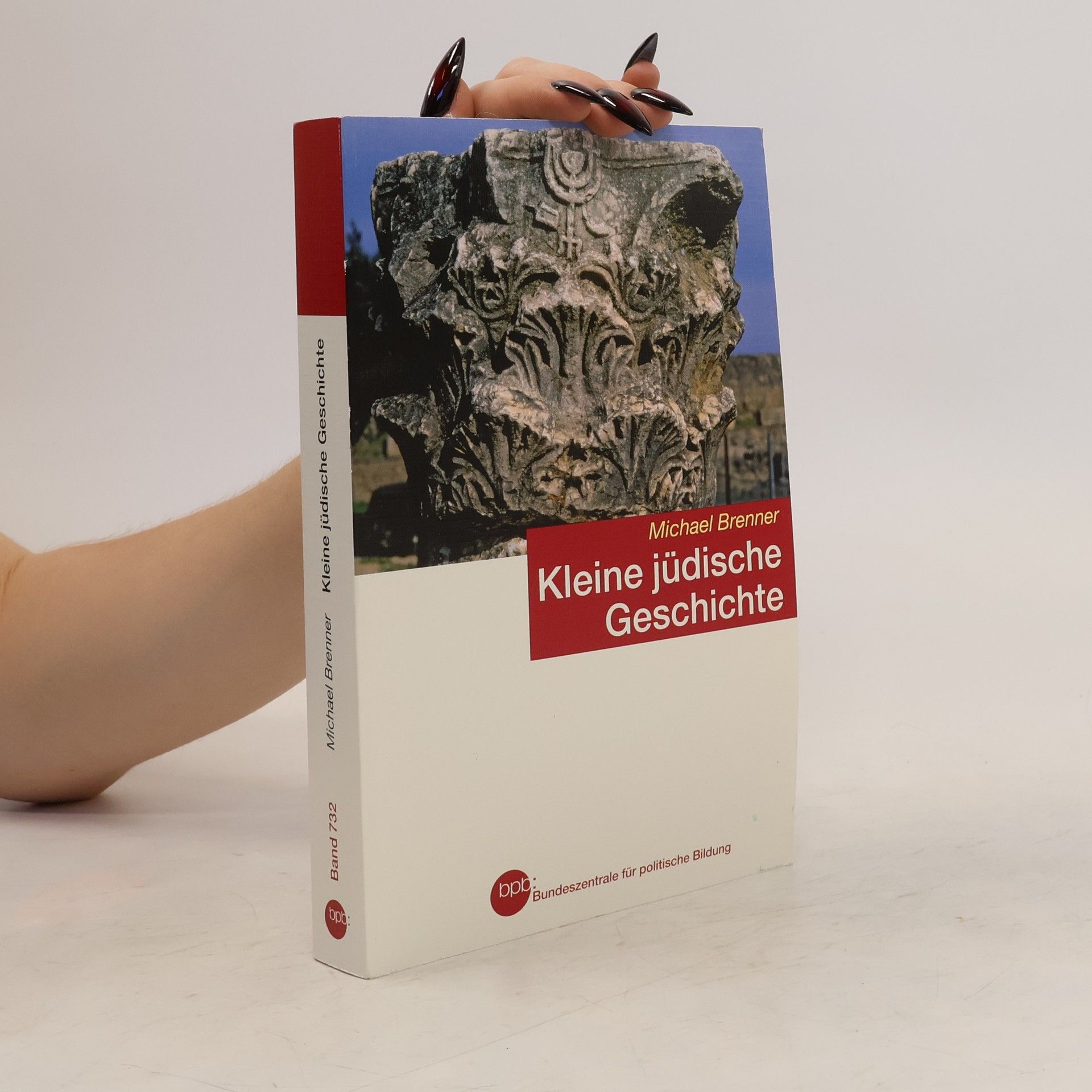 Michael A. Meyer Kleine jüdische Geschichte