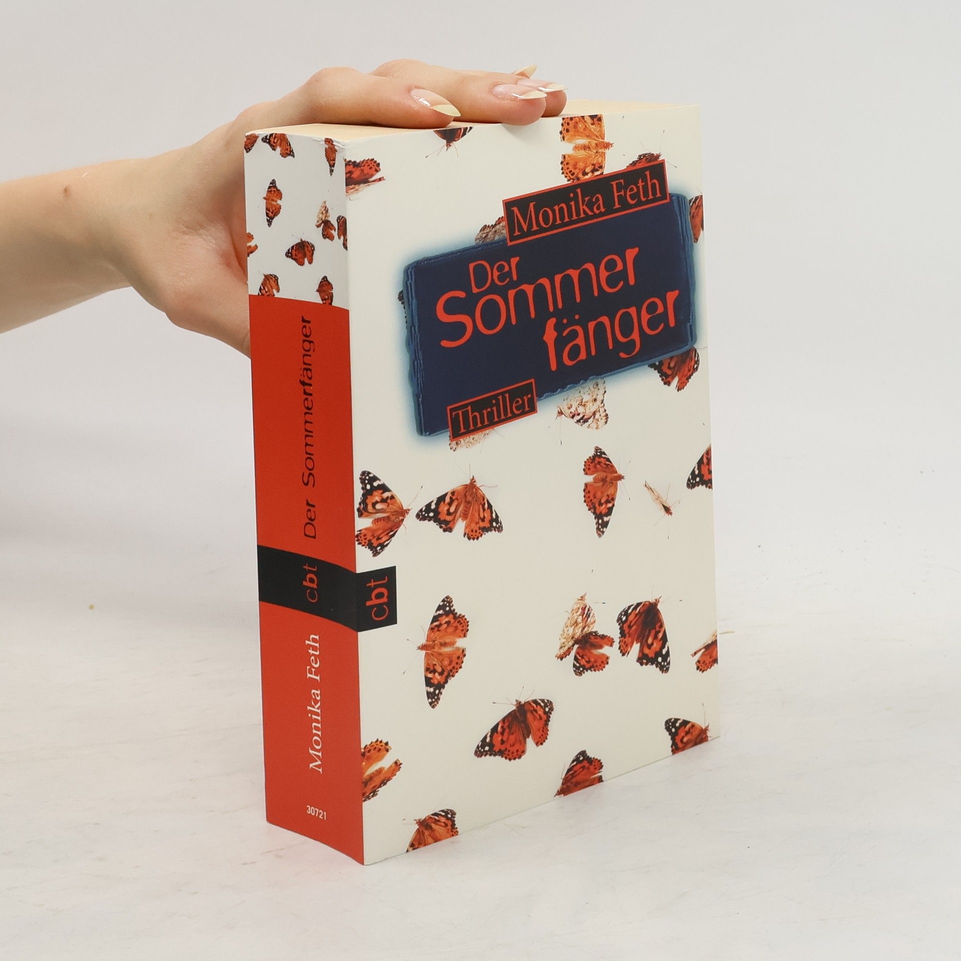 Monika Feth Der Sommerfänger