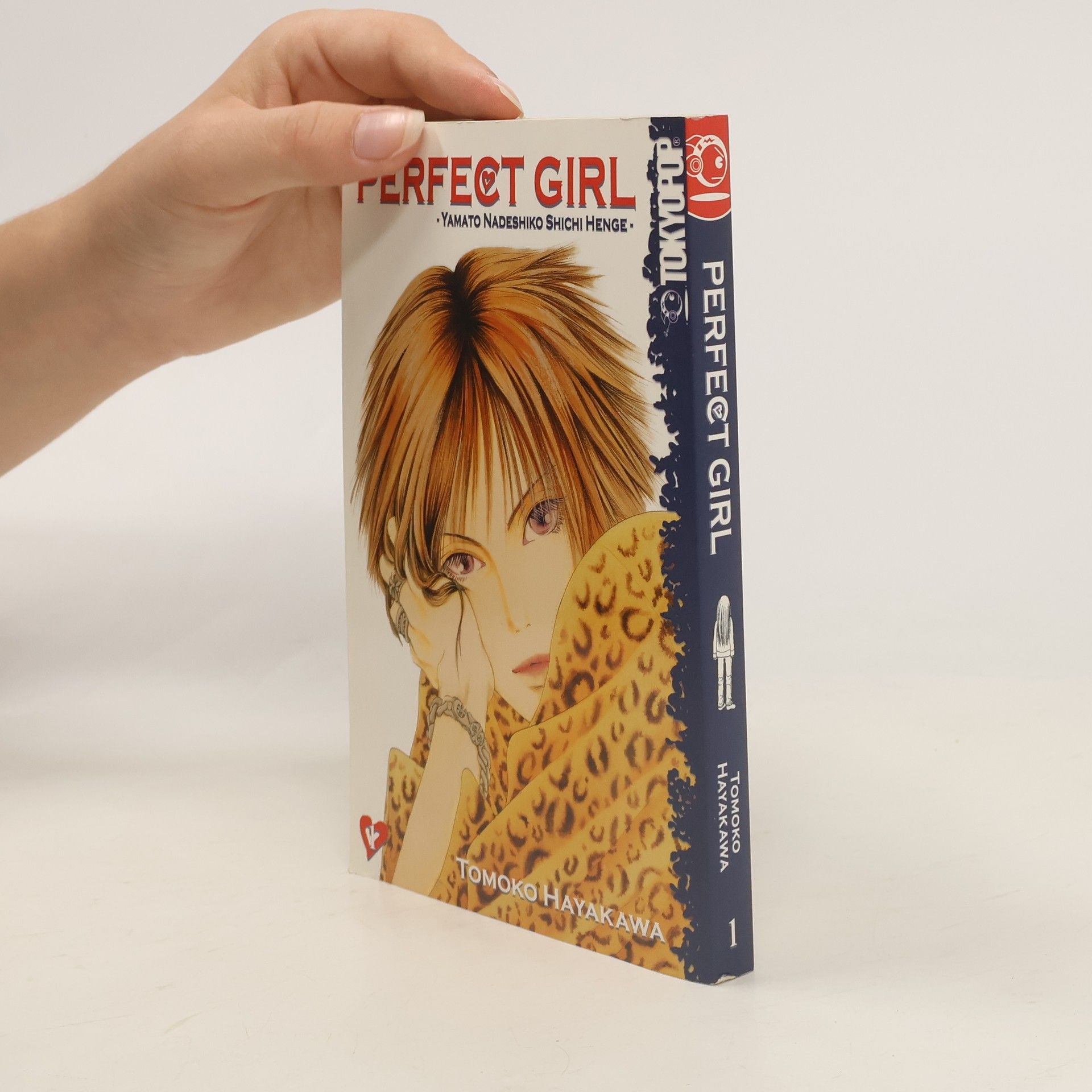 Tomoko Hayakawa Perfect Girl 1