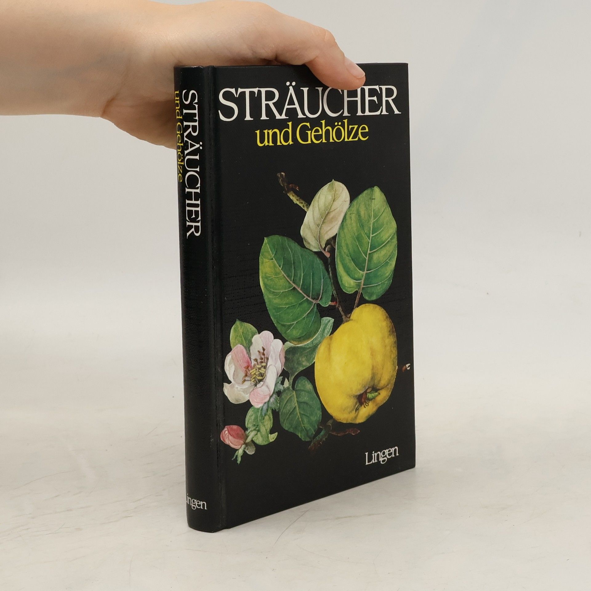 Collectif d'auteurs Sträucher und Gehölze