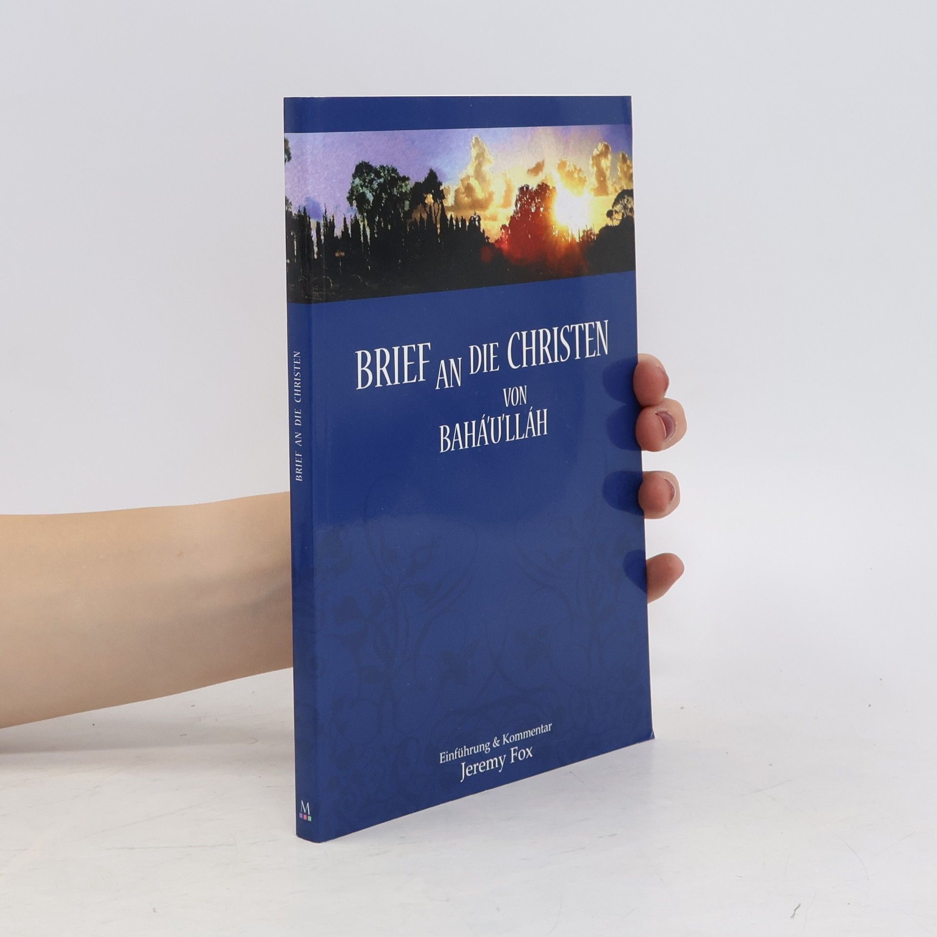 Hermann Salomon Der Speerwurf